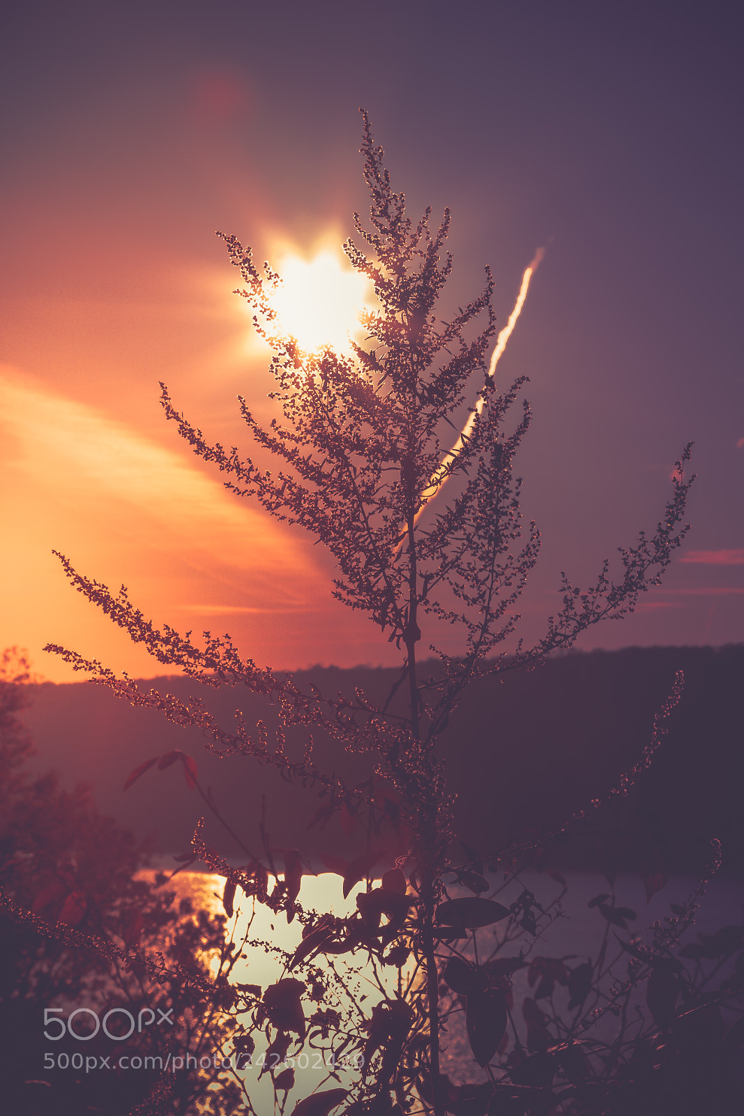 Sony a7 II sample photo. Sunset by the water photography