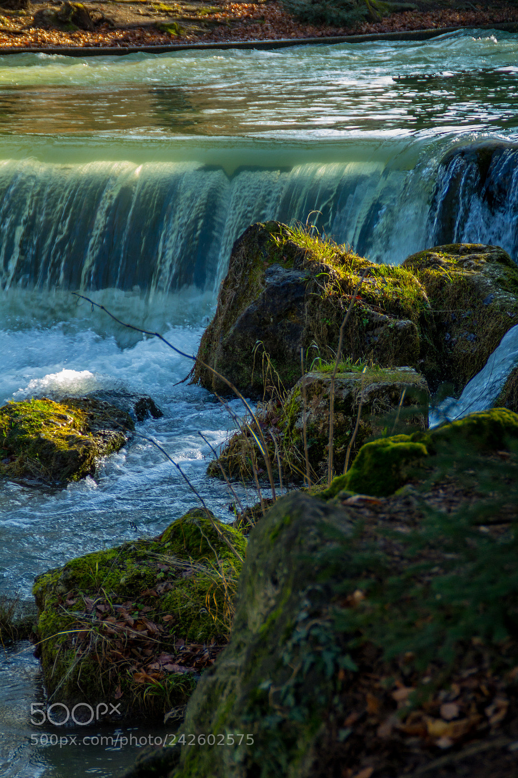 Canon EOS 60D sample photo. The "eisbach" photography