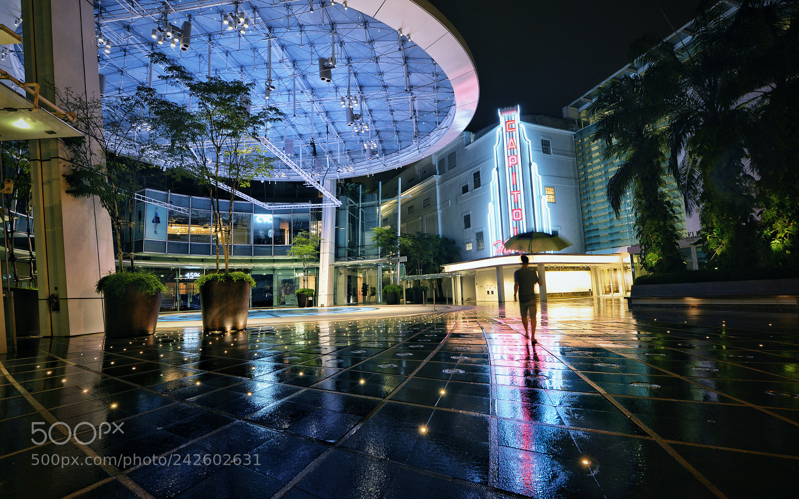 Nikon D800E sample photo. Wet series i photography