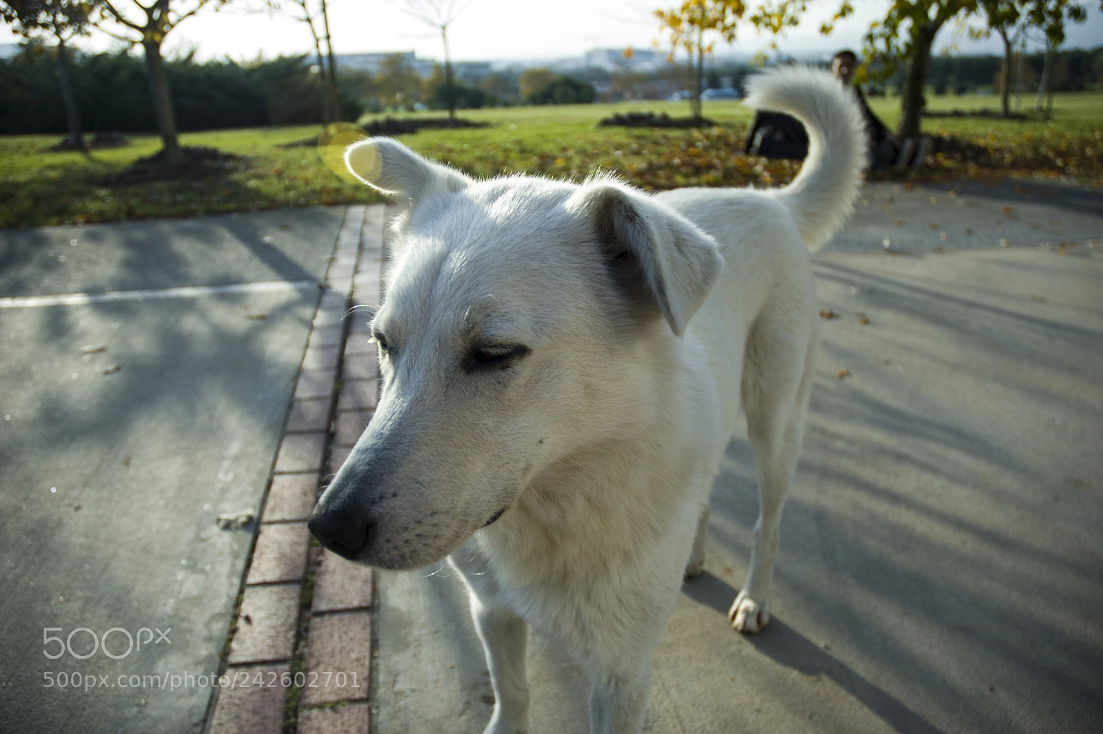 Nikon D70s sample photo. Cutie photography