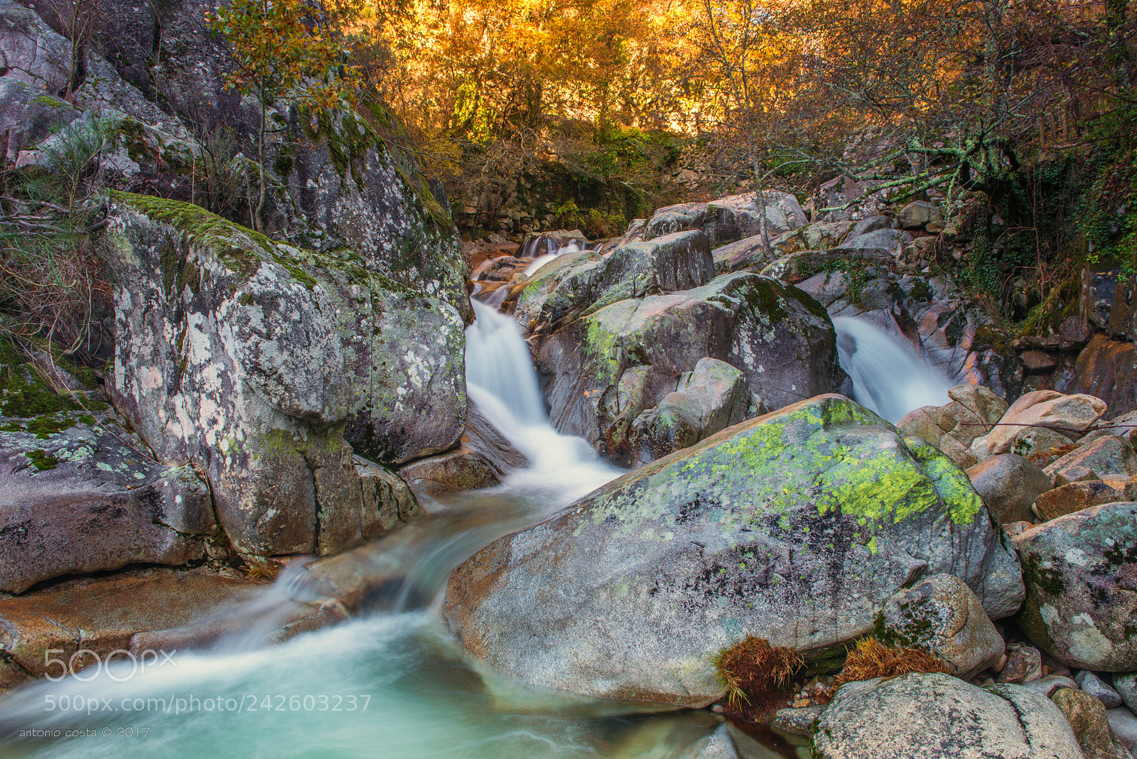 Nikon D600 sample photo. Small river photography