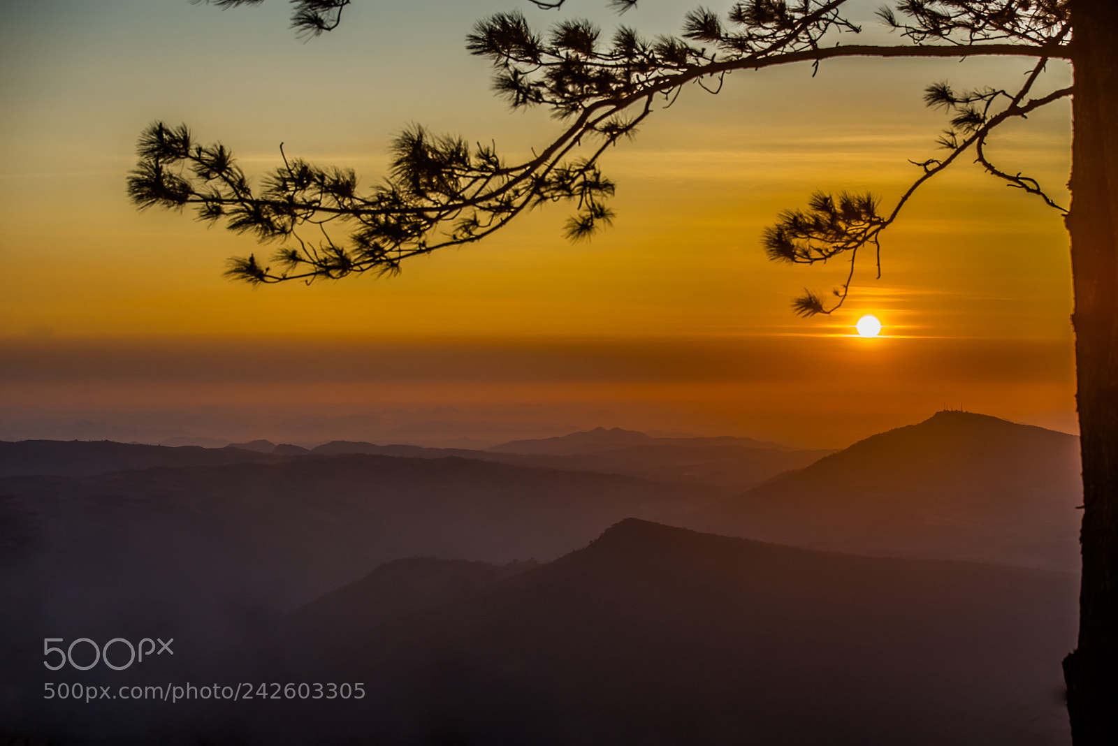 Nikon D610 sample photo. Sun rise on the photography