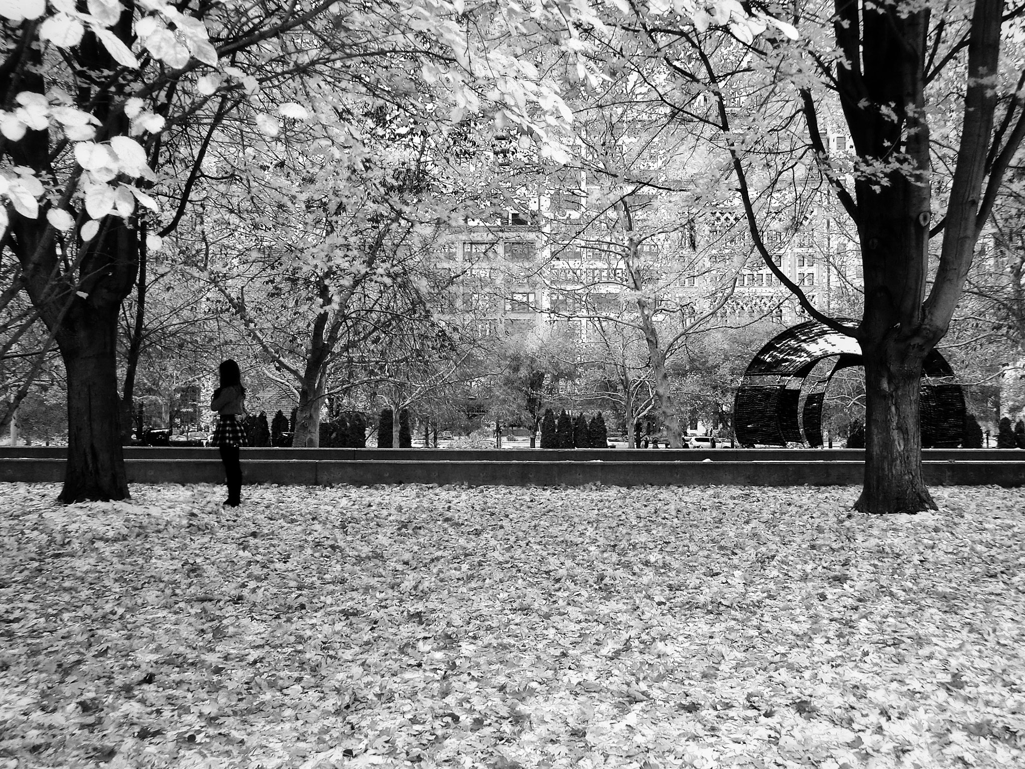 CASIO EX-ZR100 sample photo. Millennium park photography