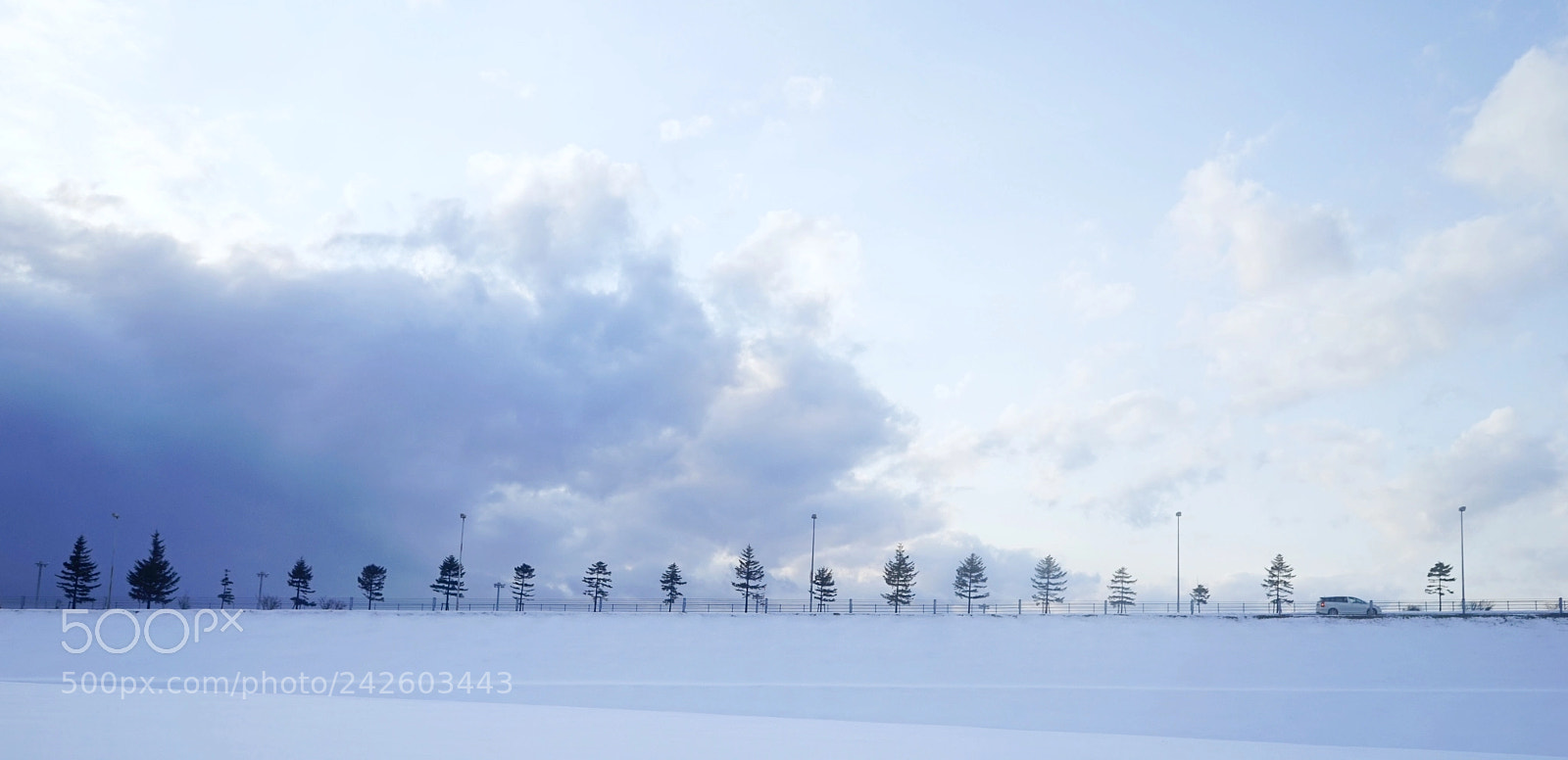 Sony a7 sample photo. Running photography