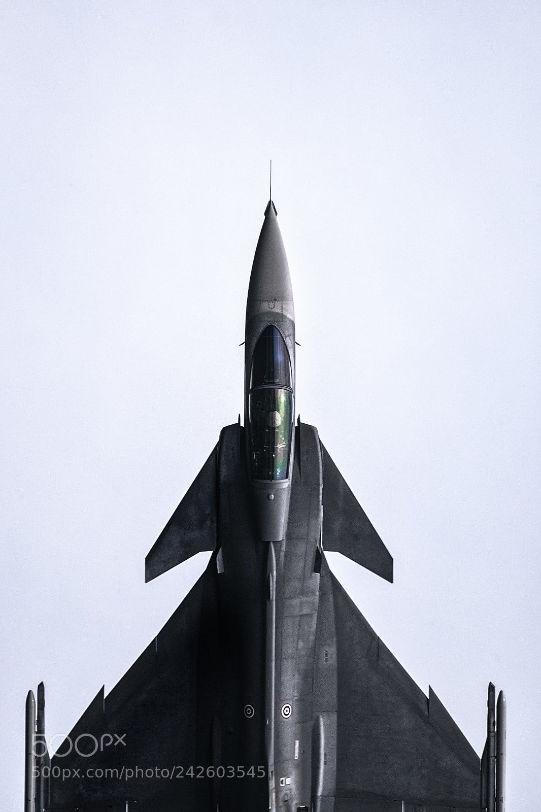 Nikon D500 sample photo. Top of gripen fighter photography