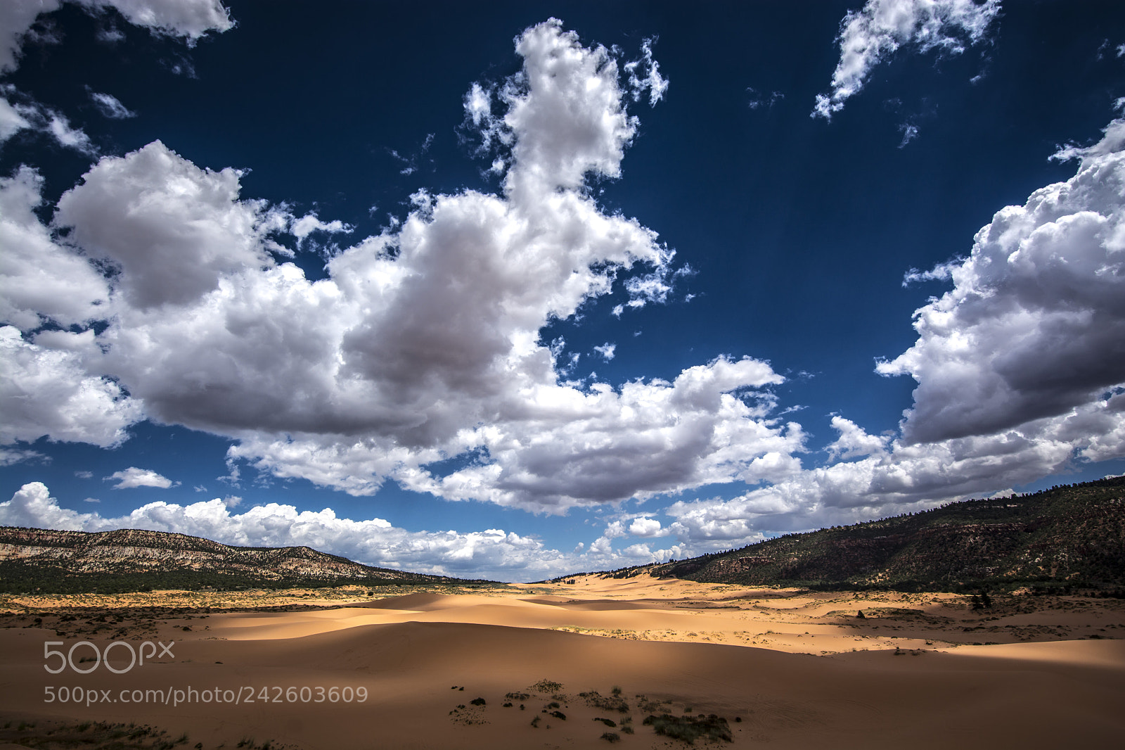Nikon D7100 sample photo. Coral pink sand dunes photography