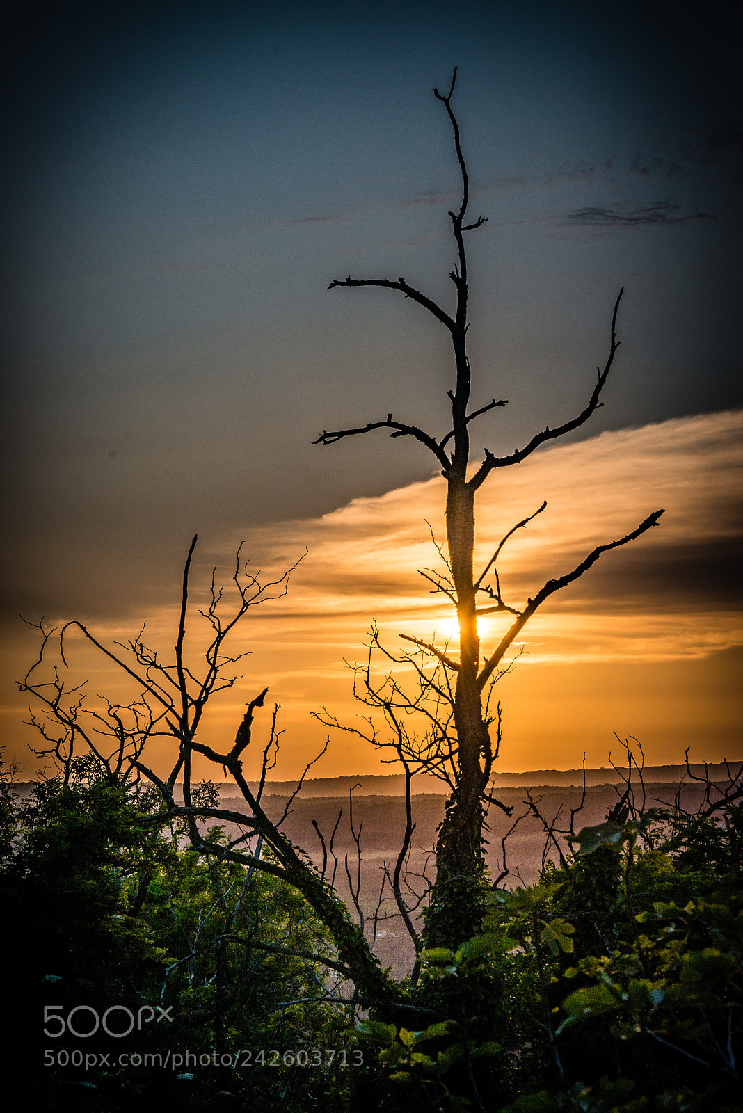 Nikon D610 sample photo. Labin,kroatien photography