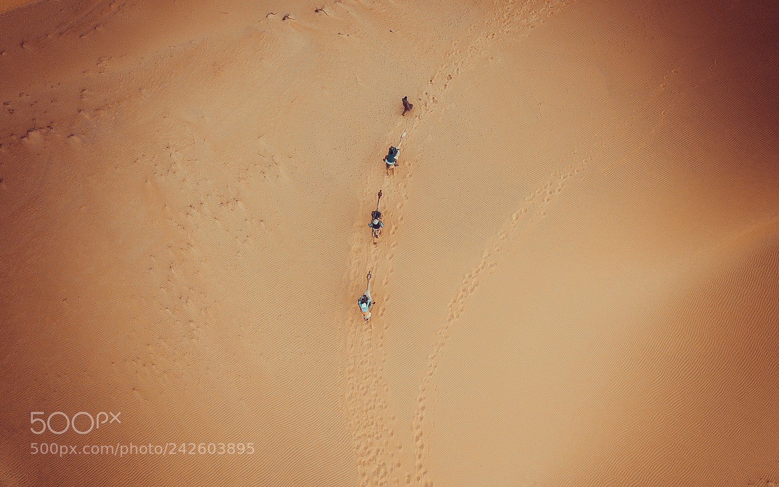 DJI FC220 sample photo. Senegal, lompoul photography