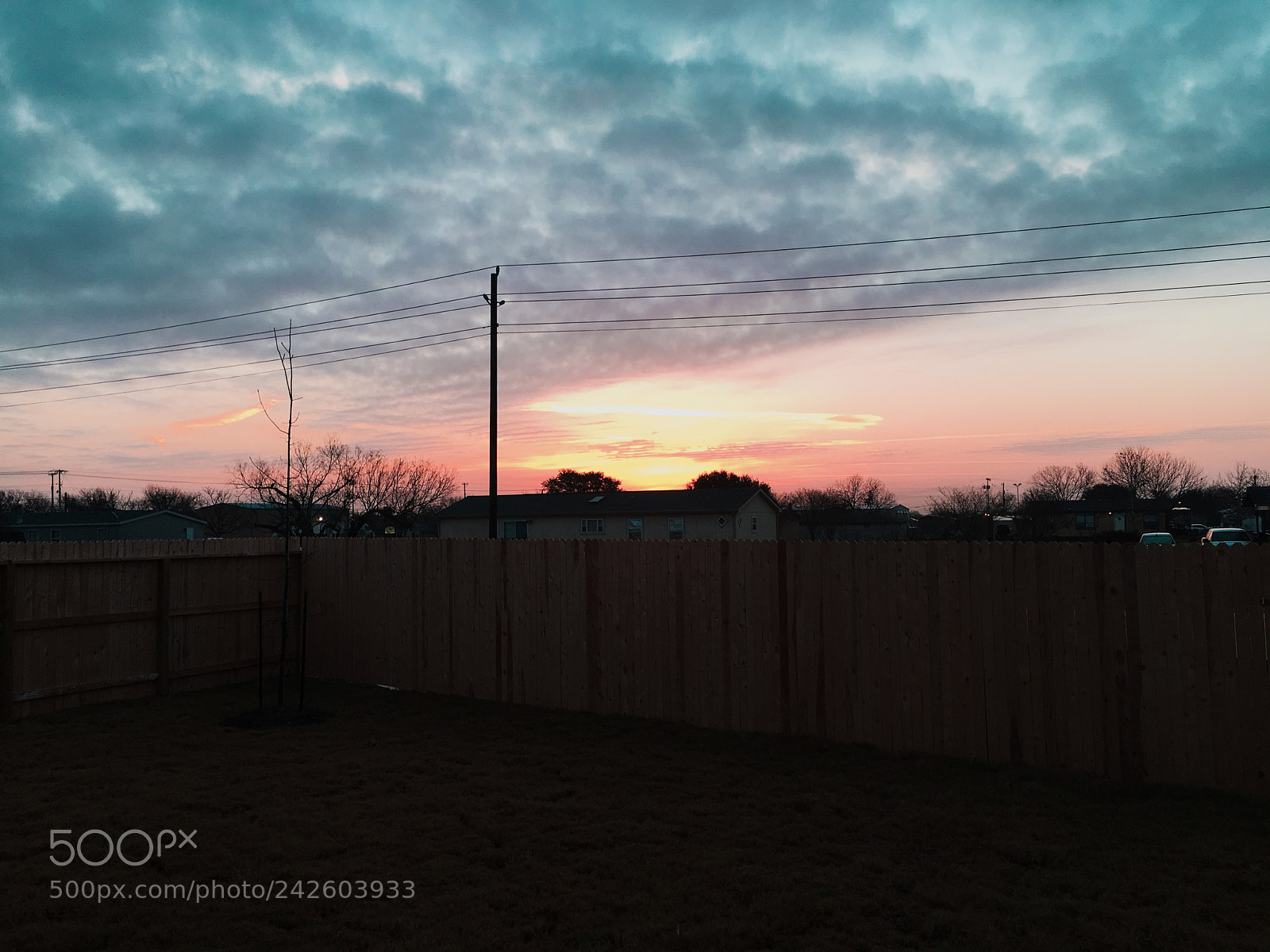 Apple iPhone 6s sample photo. Backyard skies 2 photography