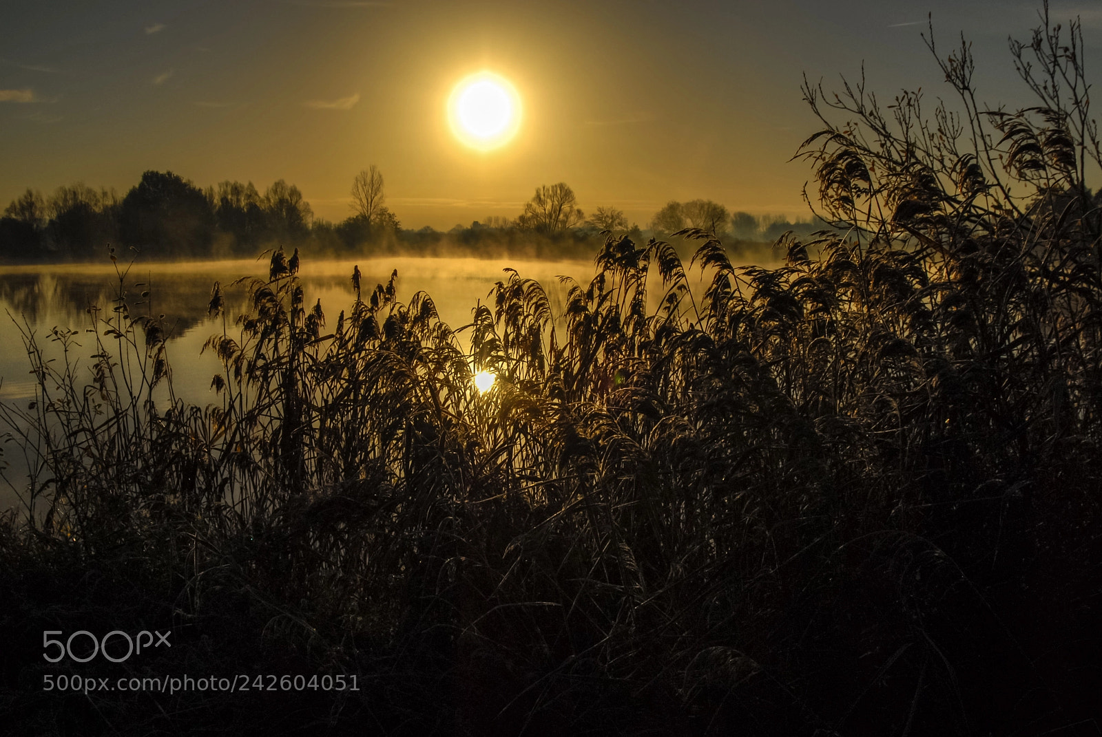 Nikon D200 sample photo. Sunrise on the lake photography