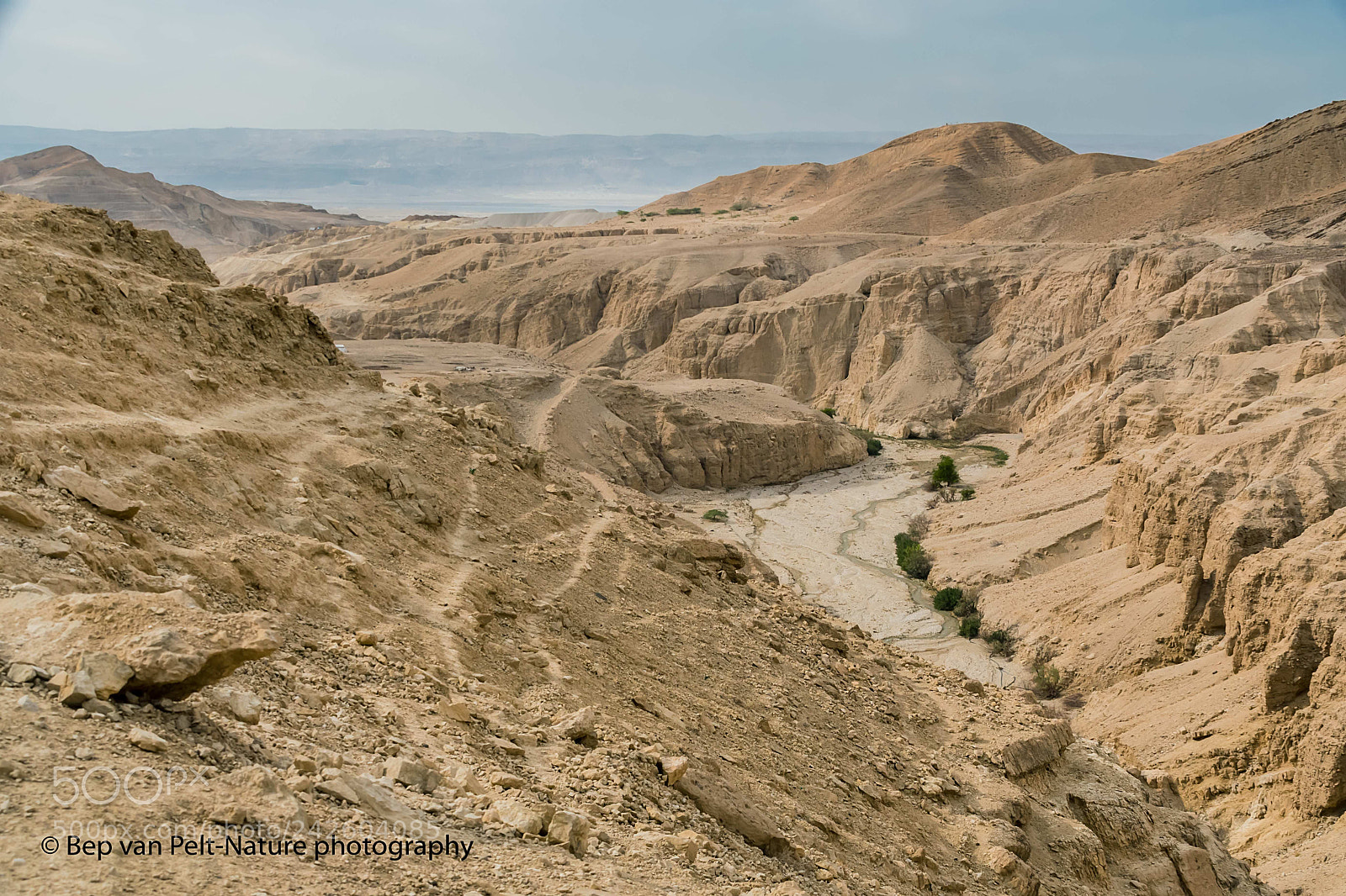 Nikon D500 sample photo. Wadi on its way photography