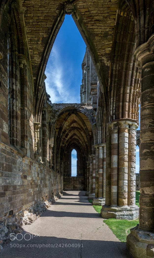 Nikon D7100 sample photo. Whitby abbey ruins (of ) photography