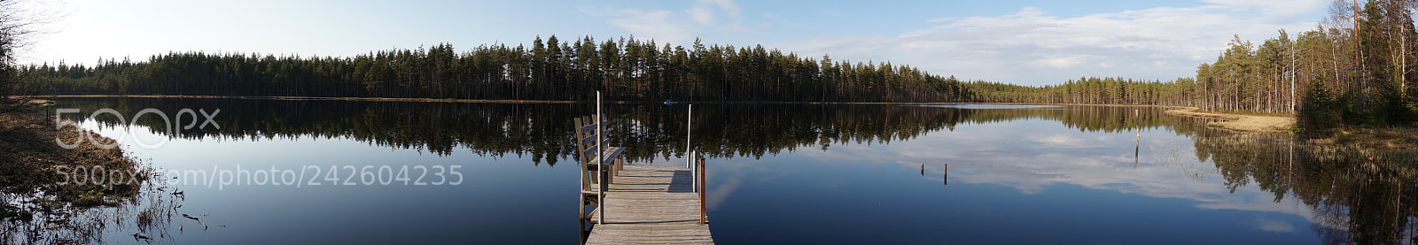 Sony Alpha NEX-6 sample photo. | photography