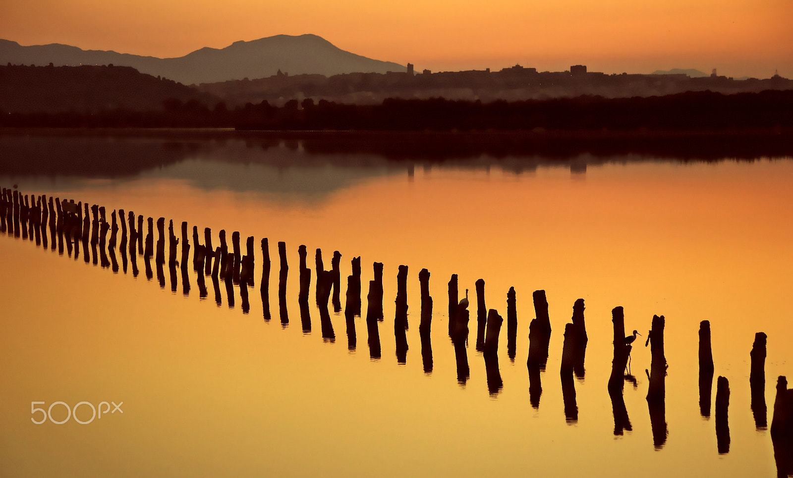 Nikon D90 sample photo. Sunset on the lake photography