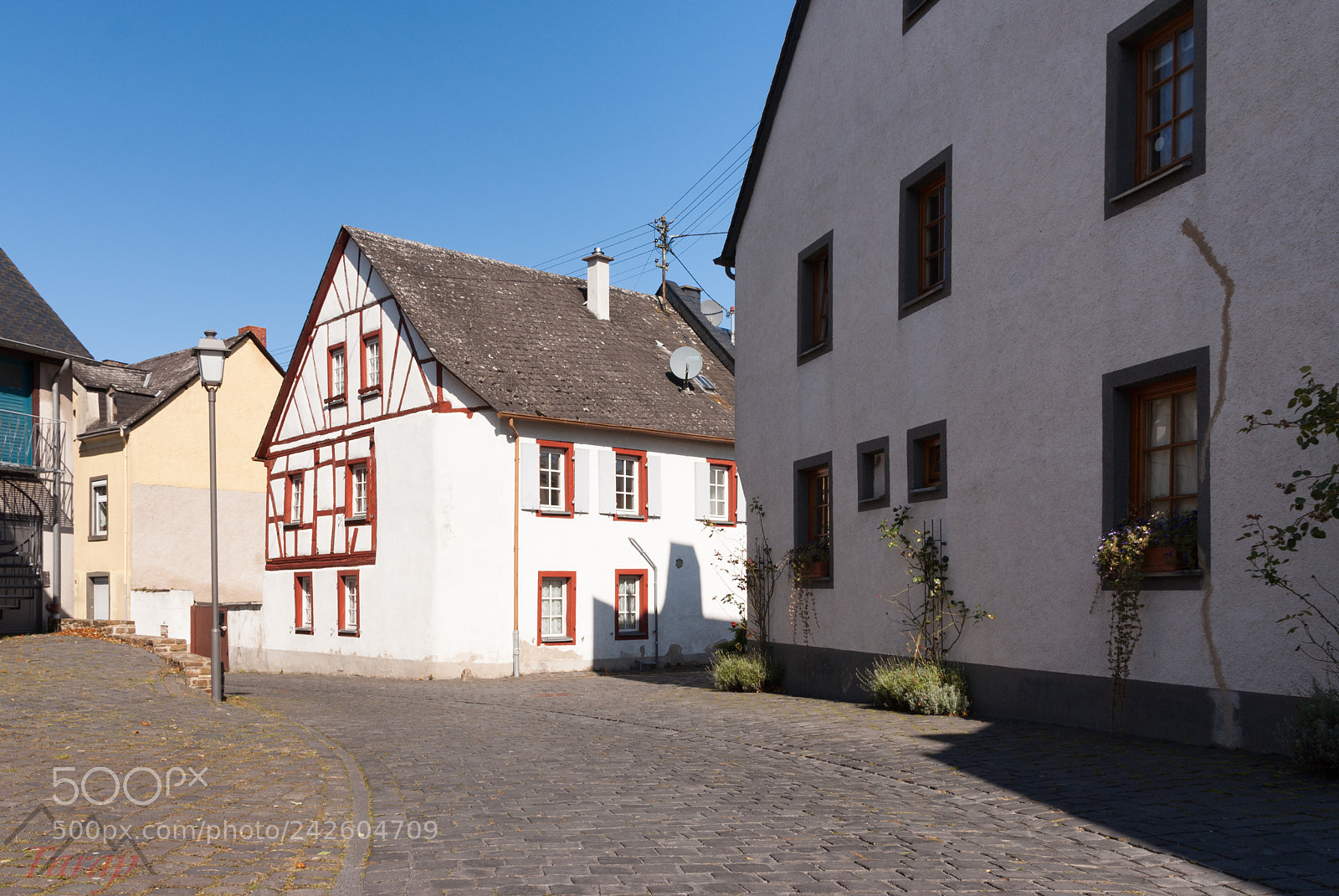 Sony Alpha DSLR-A300 sample photo. Münstermaifeld photography