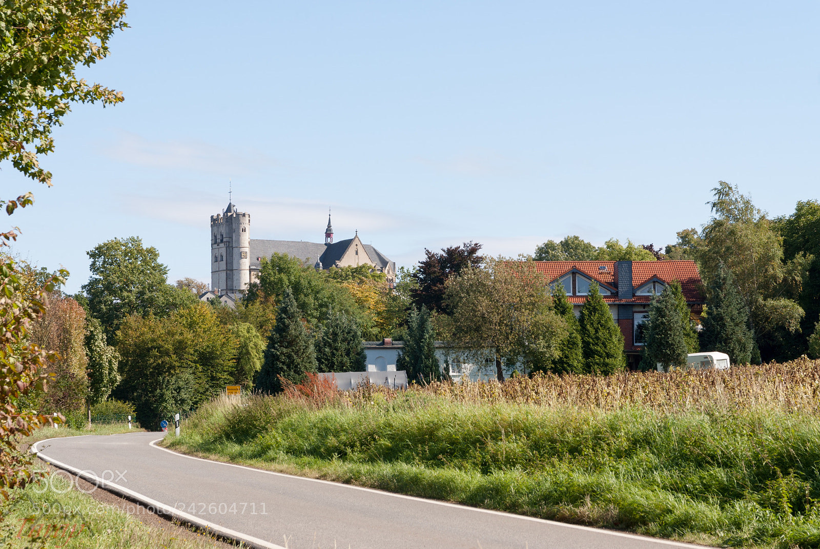 Sony Alpha DSLR-A300 sample photo. Münstermaifeld photography