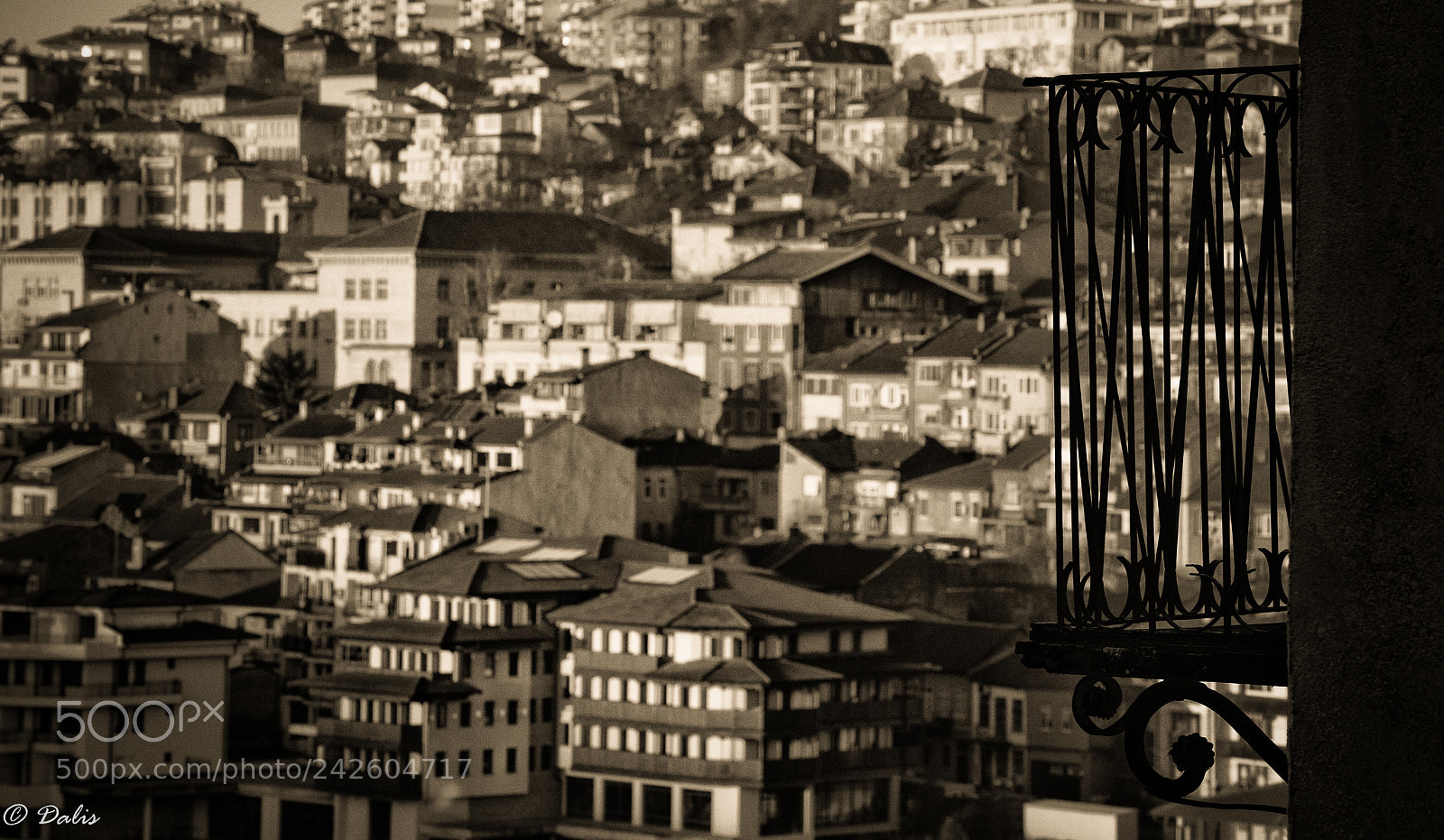 Nikon D810 sample photo. Edit photography