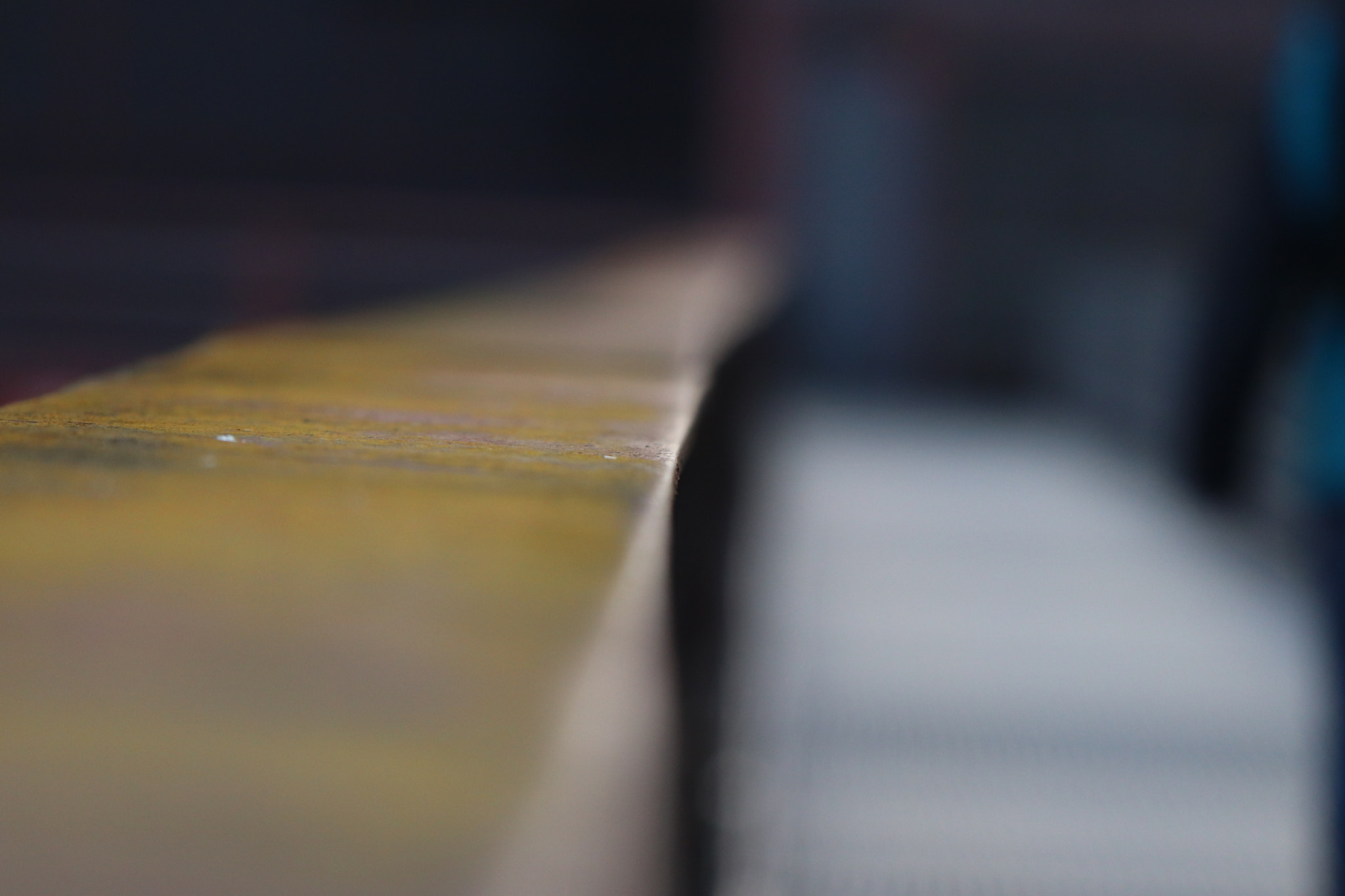 Canon EF 70-300 F4-5.6 IS II USM sample photo. Selective photography
