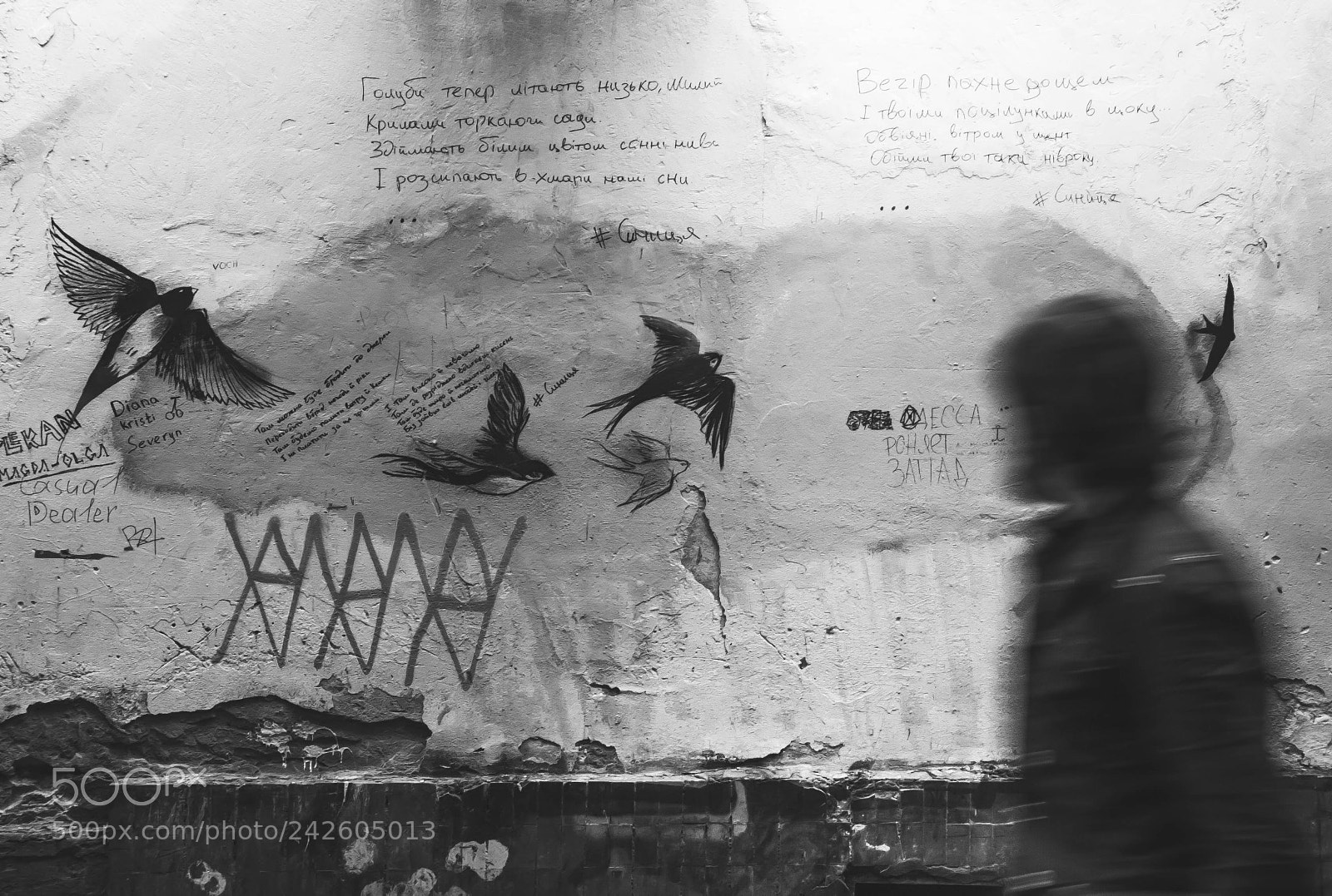 Canon EOS 60D sample photo. Poetry lviv #8 photography