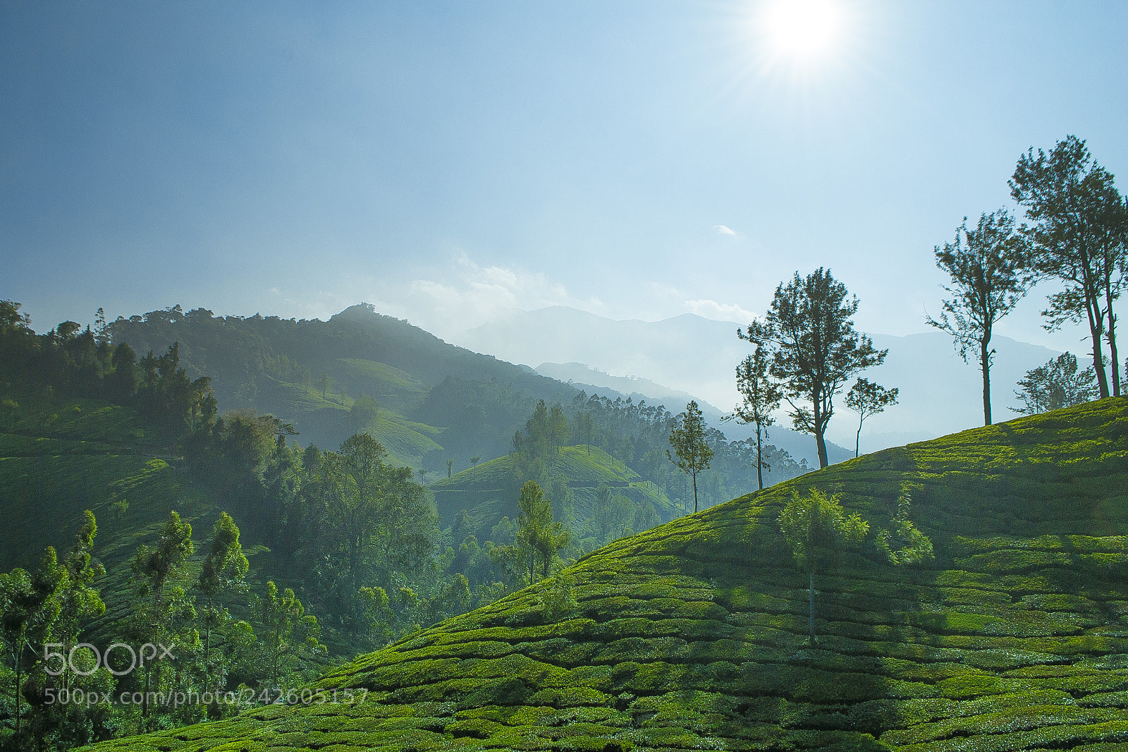 Nikon D3100 sample photo. Pleasant view photography