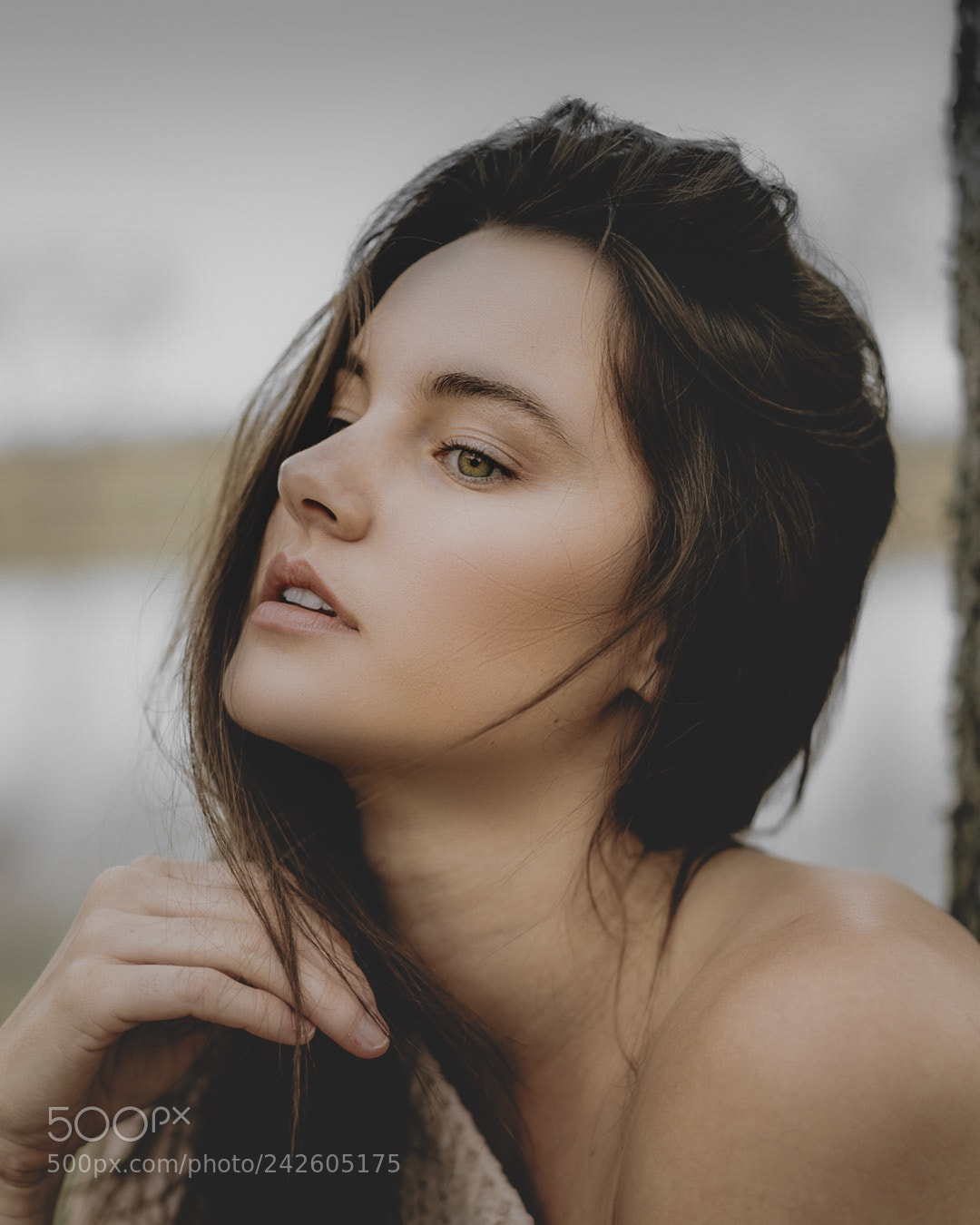 Sony a7S II sample photo. Schulenburg, tx photography