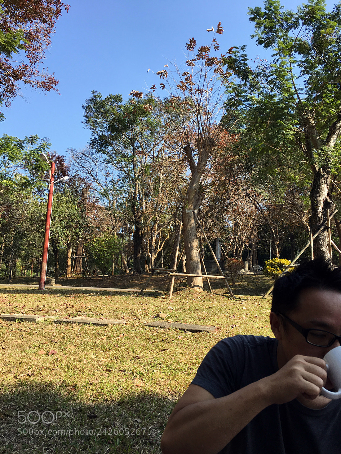 Apple iPhone 6s sample photo. 01-5.jpg photography