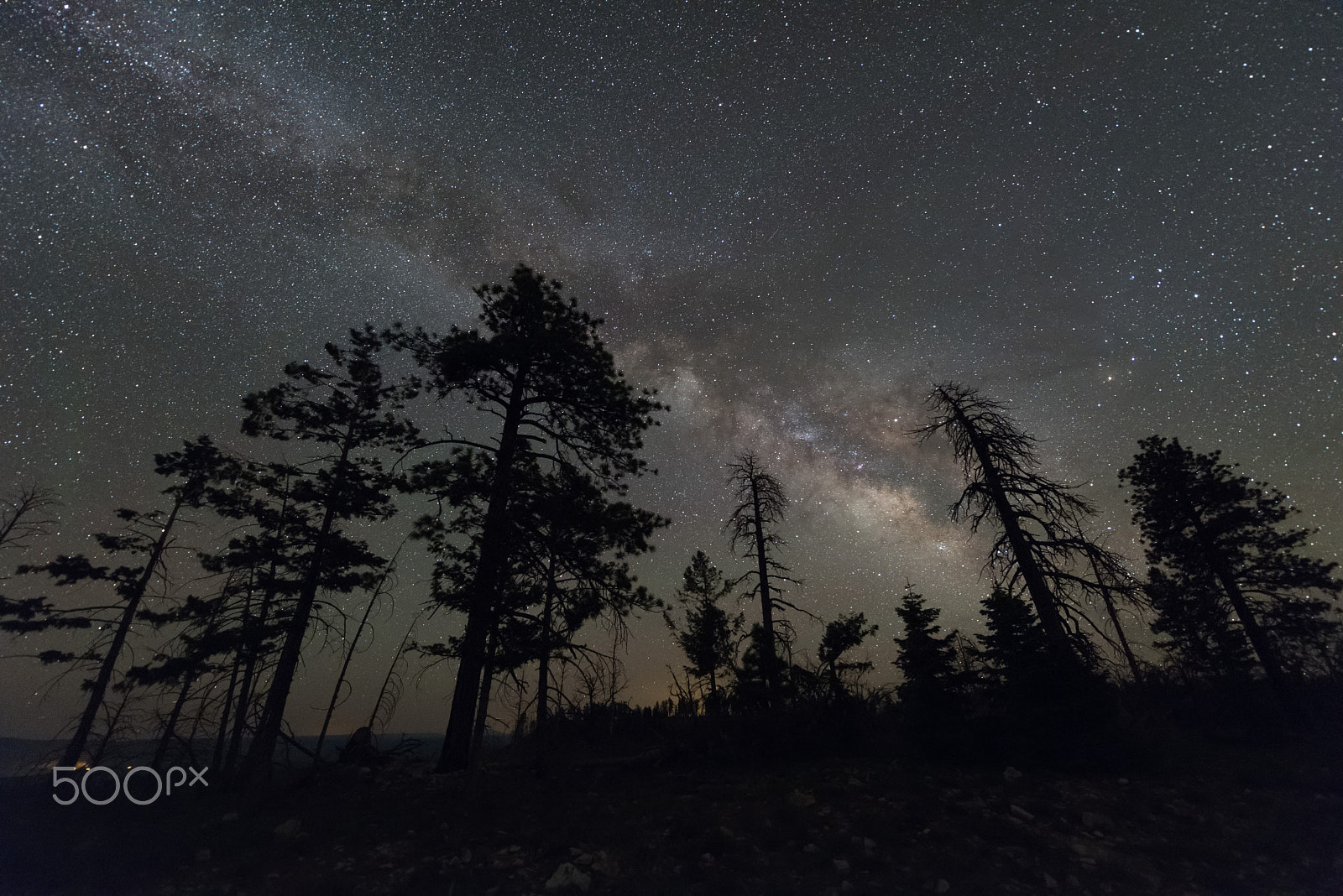 Nikon D810A sample photo. Summer milkyway photography