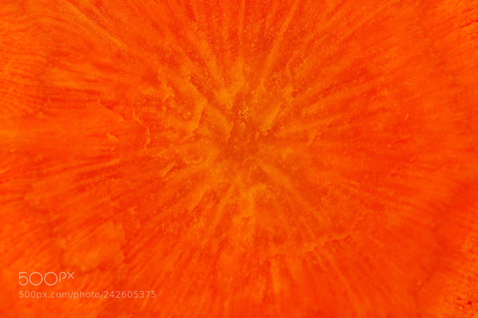 Pentax K200D sample photo. Carrot photography