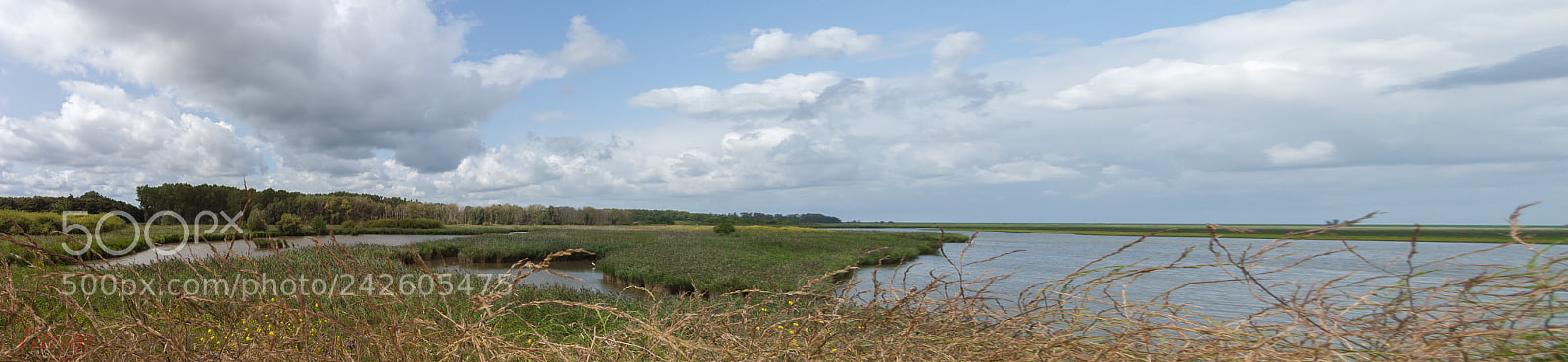 Sony Alpha DSLR-A300 sample photo. Oostvaardersplassen, the netherlands photography