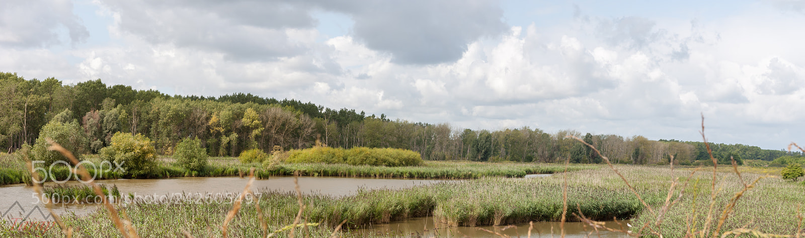 Sony Alpha DSLR-A300 sample photo. Oostvaardersplassen, the netherlands photography