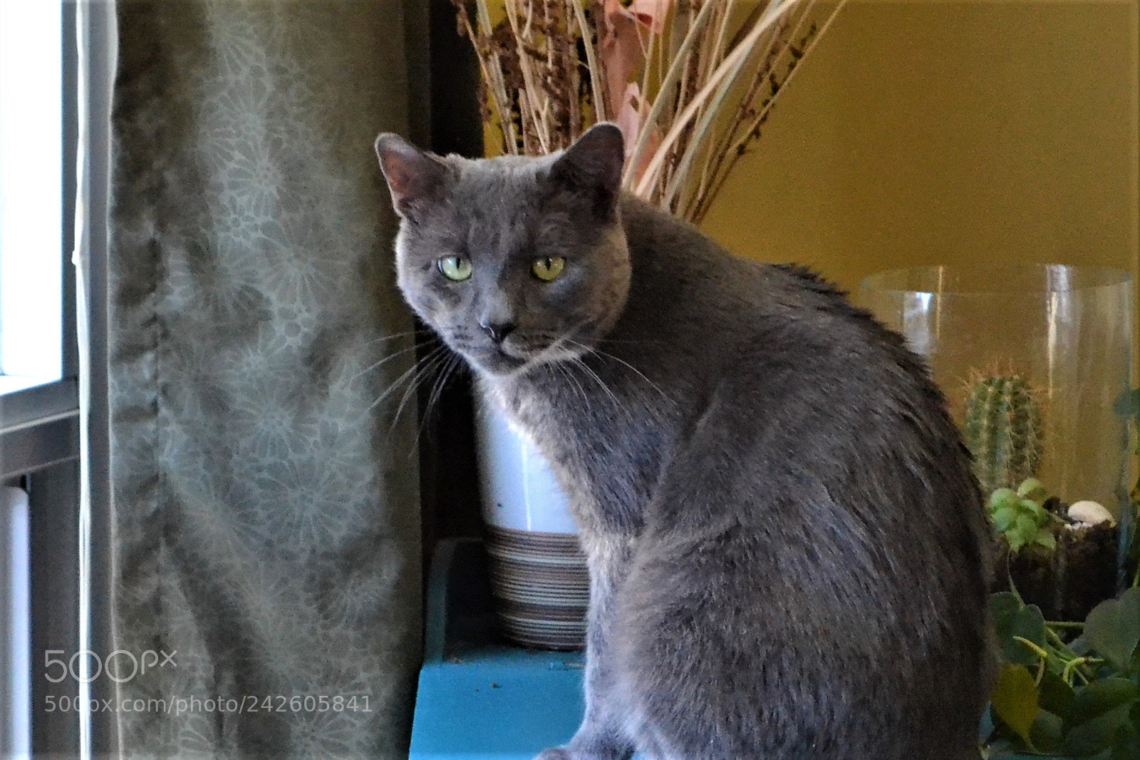Nikon D3100 sample photo. Miles photography