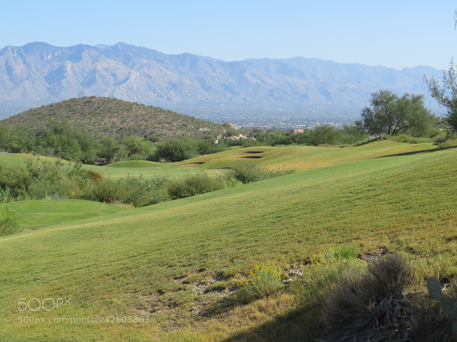 Canon PowerShot SX540 HS sample photo. Ondulation golf course photography