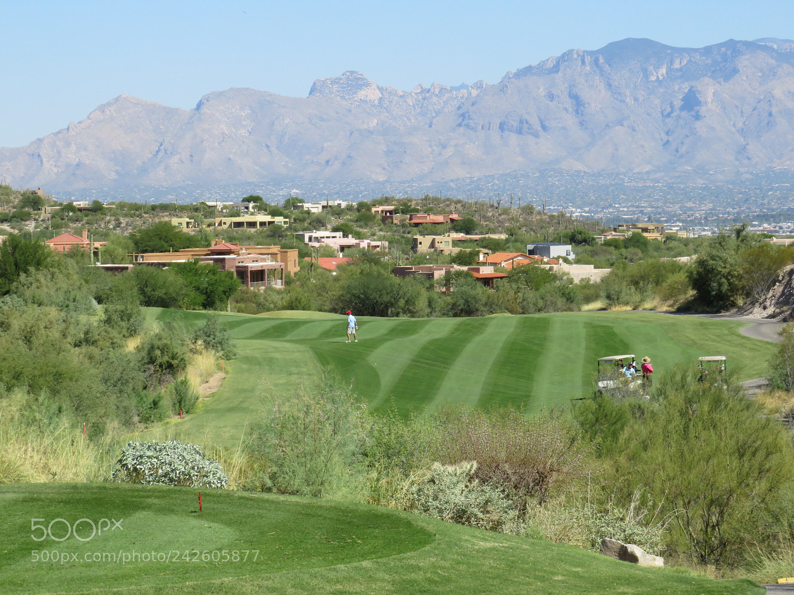 Canon PowerShot SX540 HS sample photo. Golf course grass cuts photography