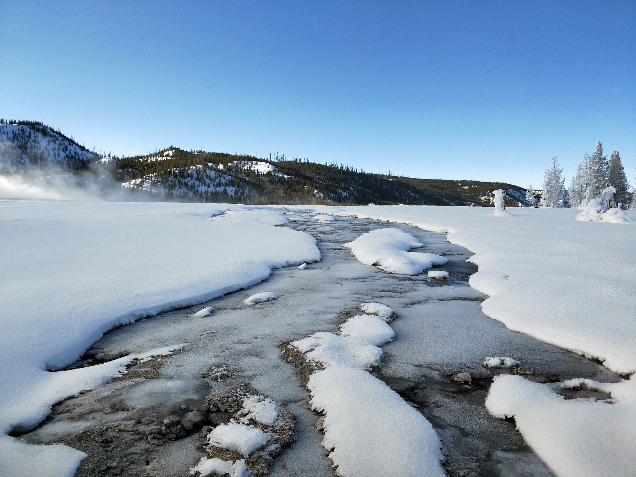 OPPO R11 PLUS sample photo. Yellowstone in winter photography