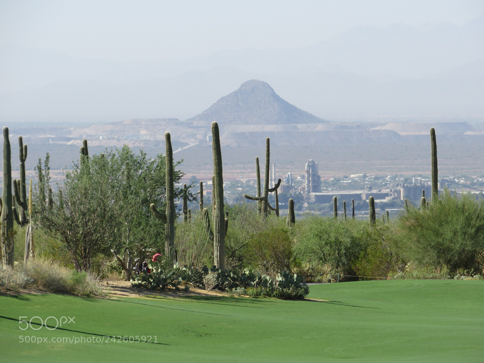 Canon PowerShot SX540 HS sample photo. Heaven on golf corse photography