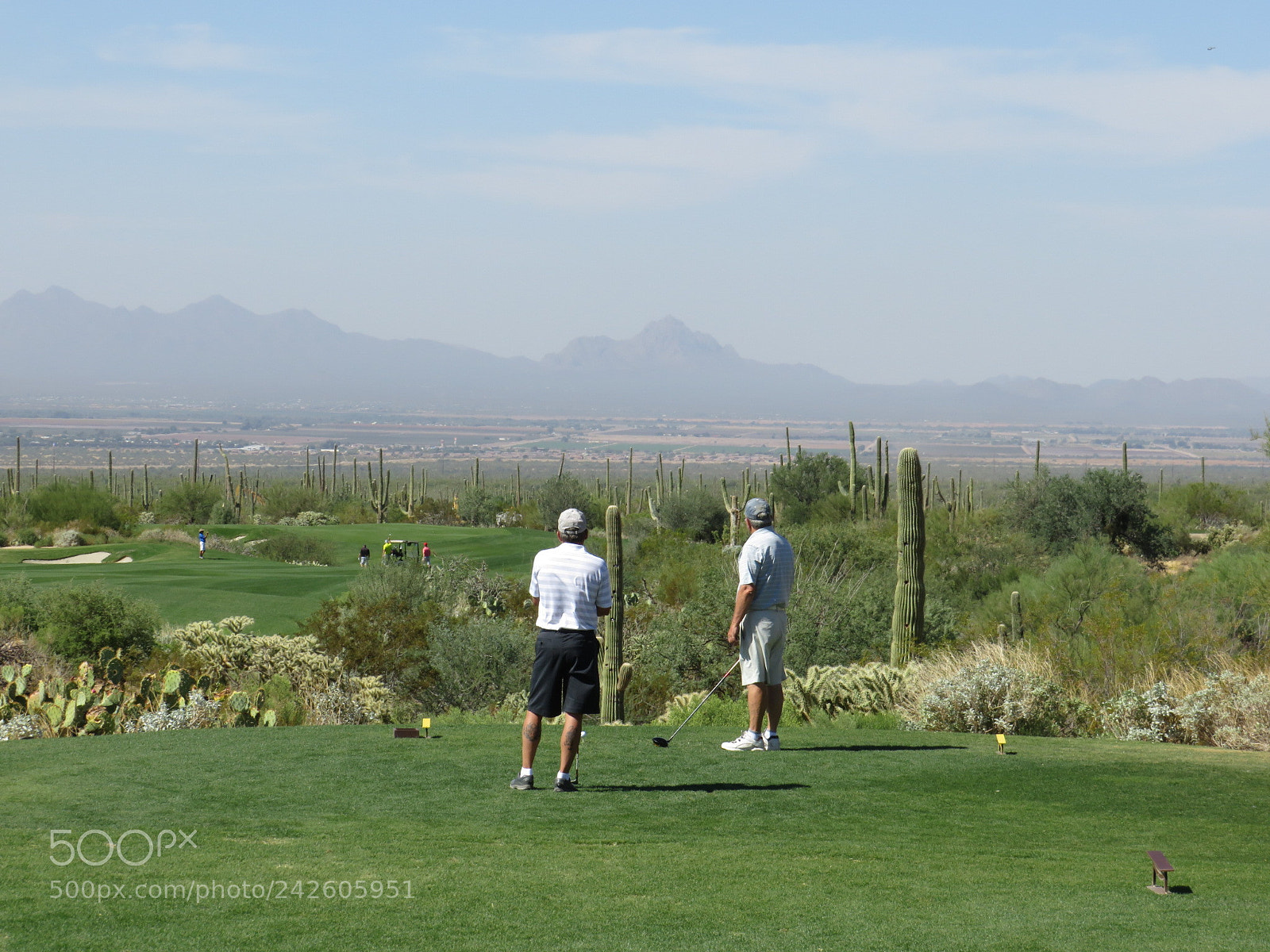 Canon PowerShot SX540 HS sample photo. Golfer ready to tee photography