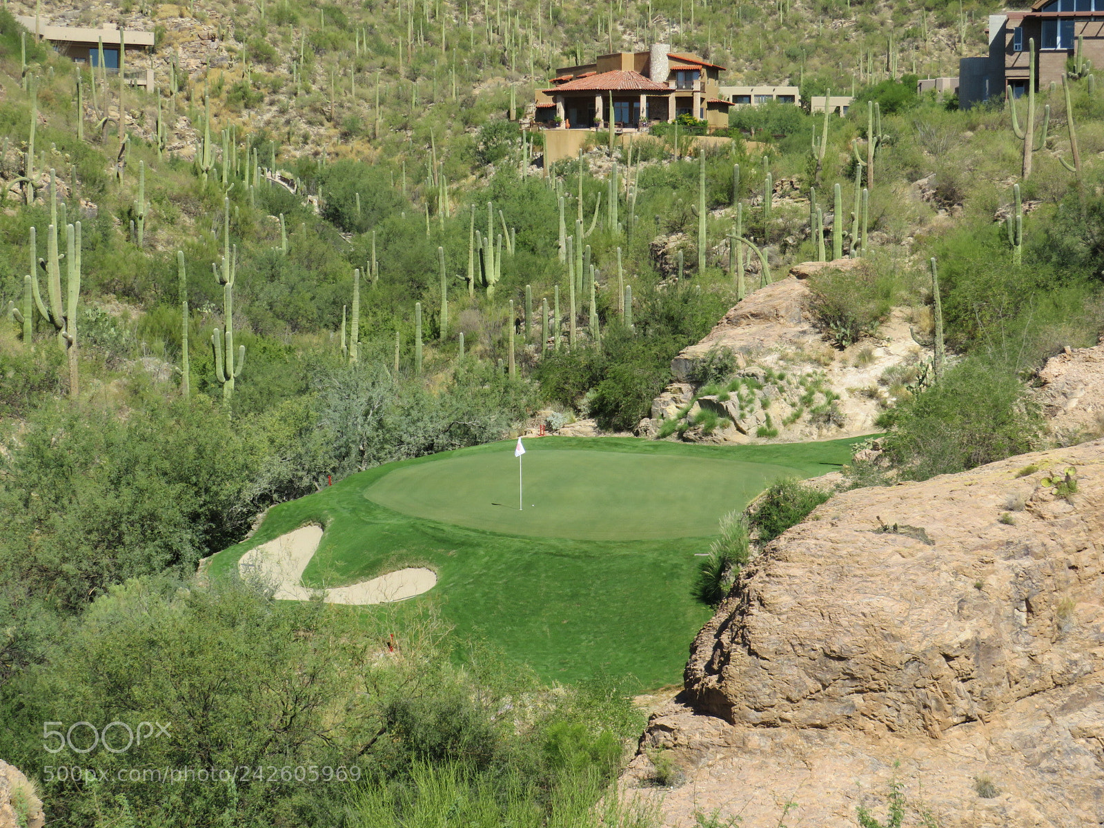 Canon PowerShot SX540 HS sample photo. Mountain golf green photography