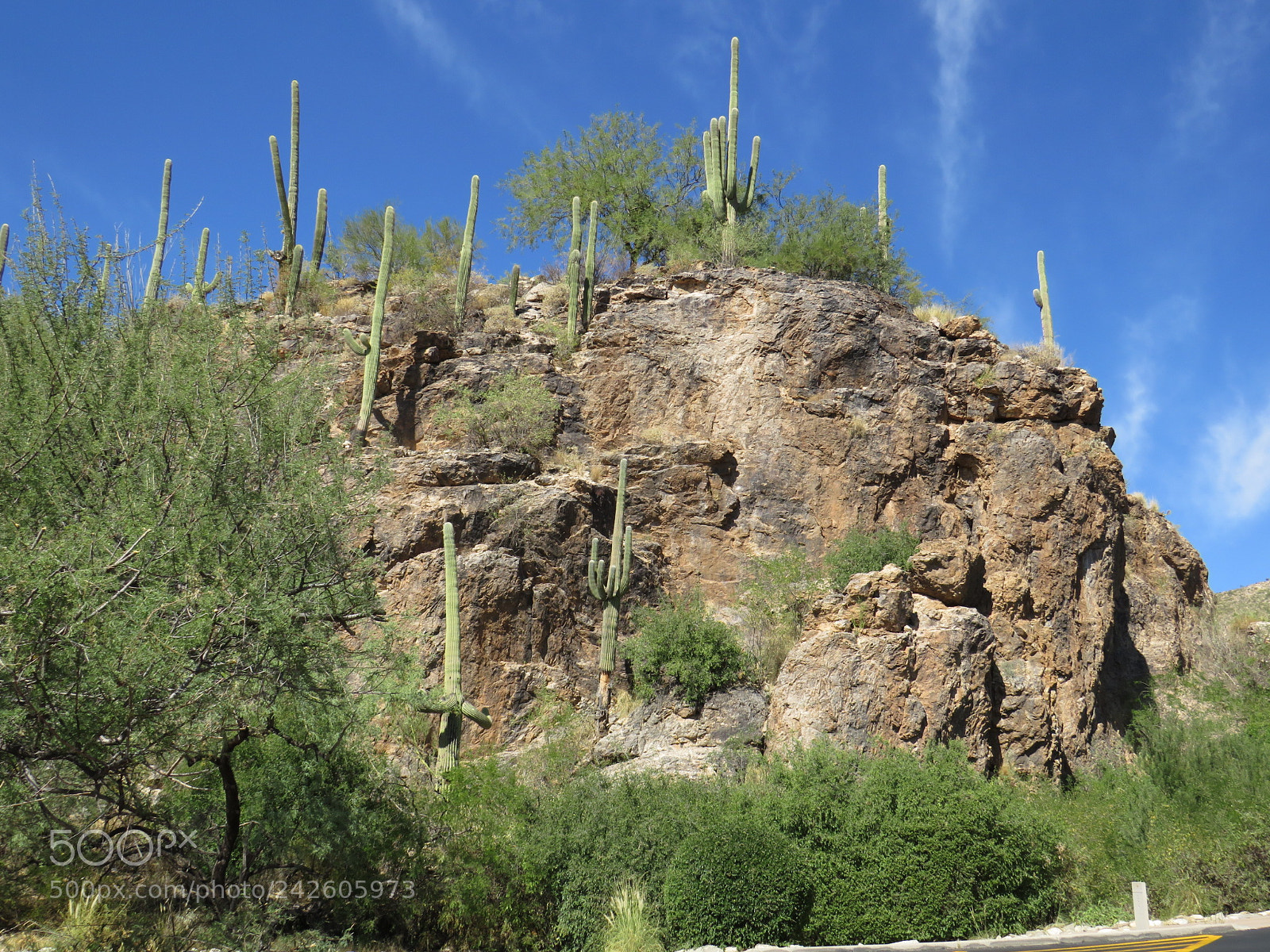 Canon PowerShot SX540 HS sample photo. Mountain cliff cactus view photography
