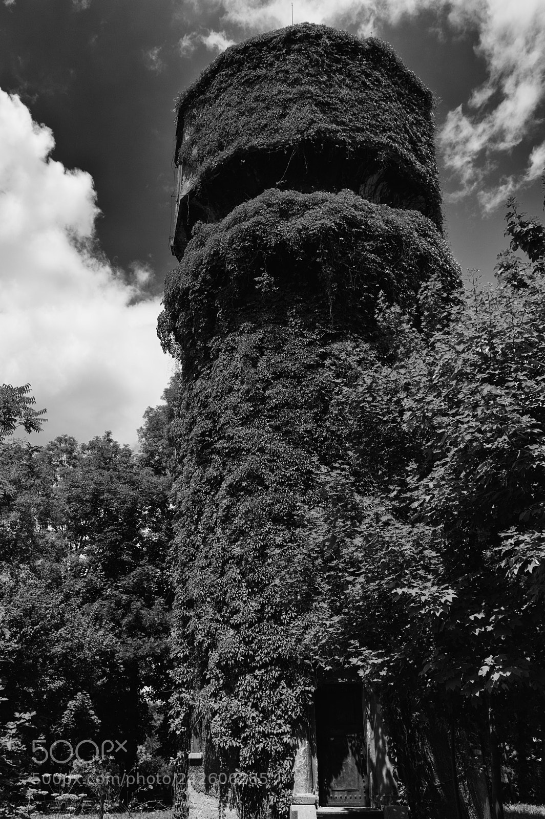 Nikon D3200 sample photo. Rapunzel tower photography