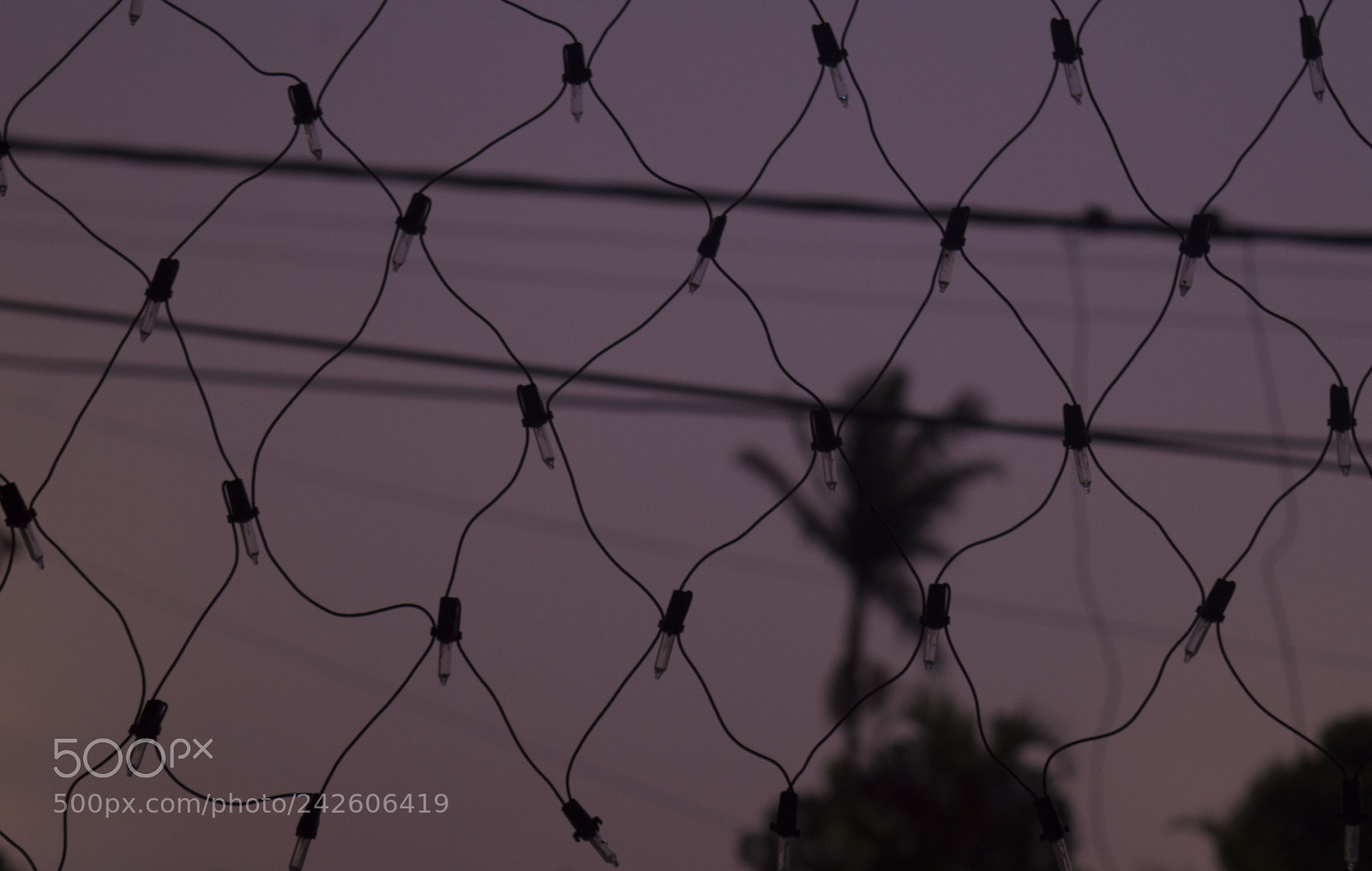 Nikon D3200 sample photo. Colores santos photography