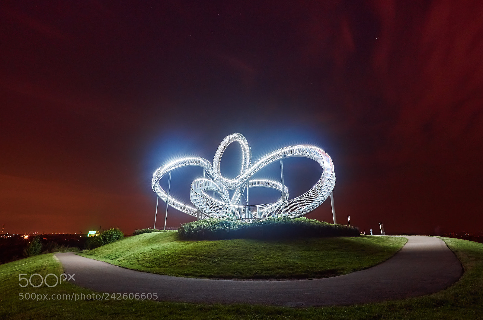 Sony SLT-A57 sample photo. Tiger & turtle duisburg photography