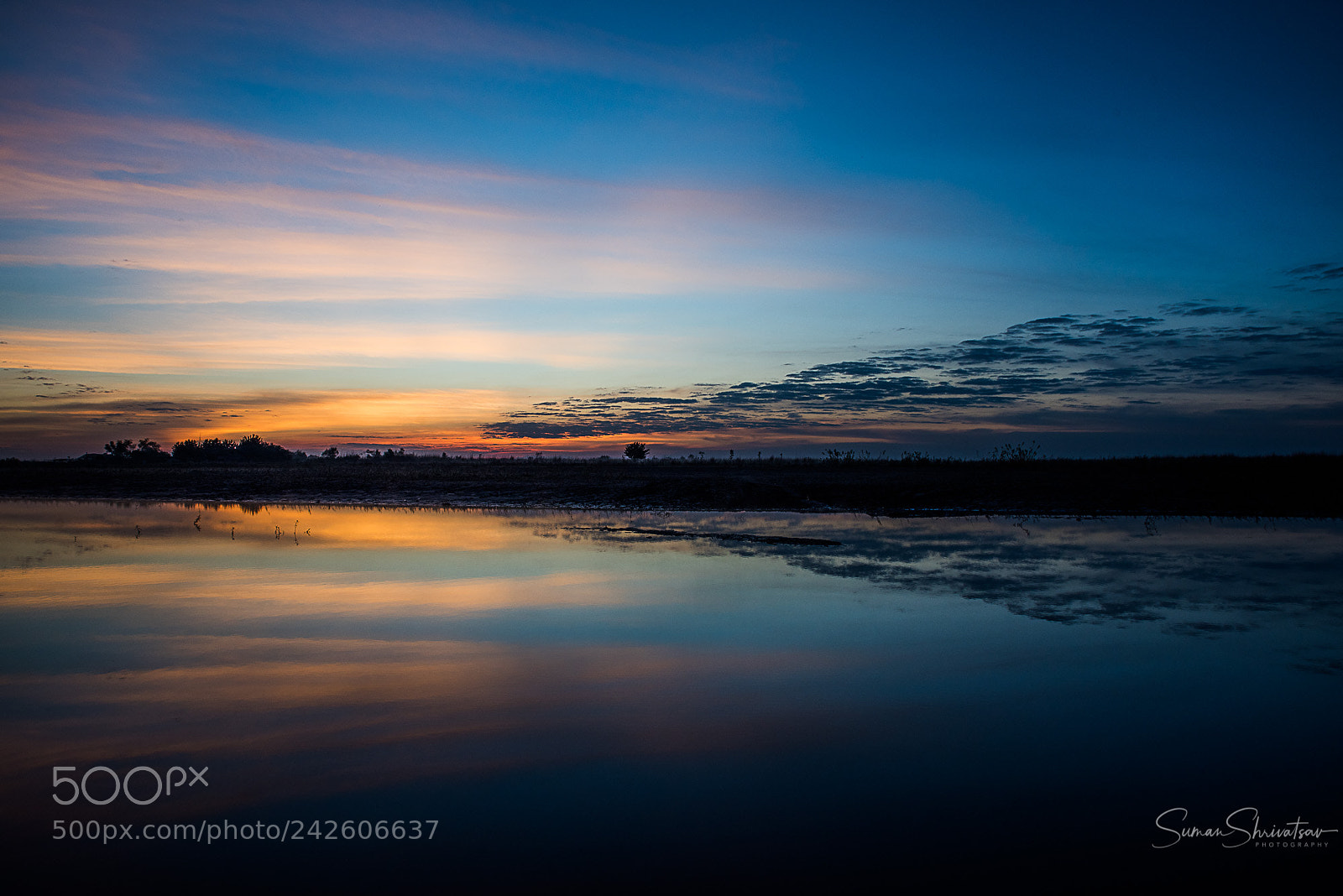 Nikon D810 sample photo. Majuli - walk with photography