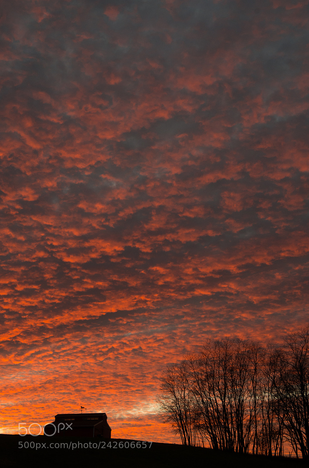 Pentax K-30 sample photo. Red sky photography