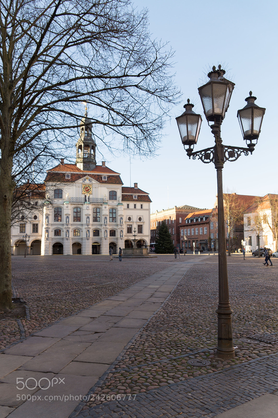 Sony SLT-A58 sample photo. Rathaus lüneburg photography