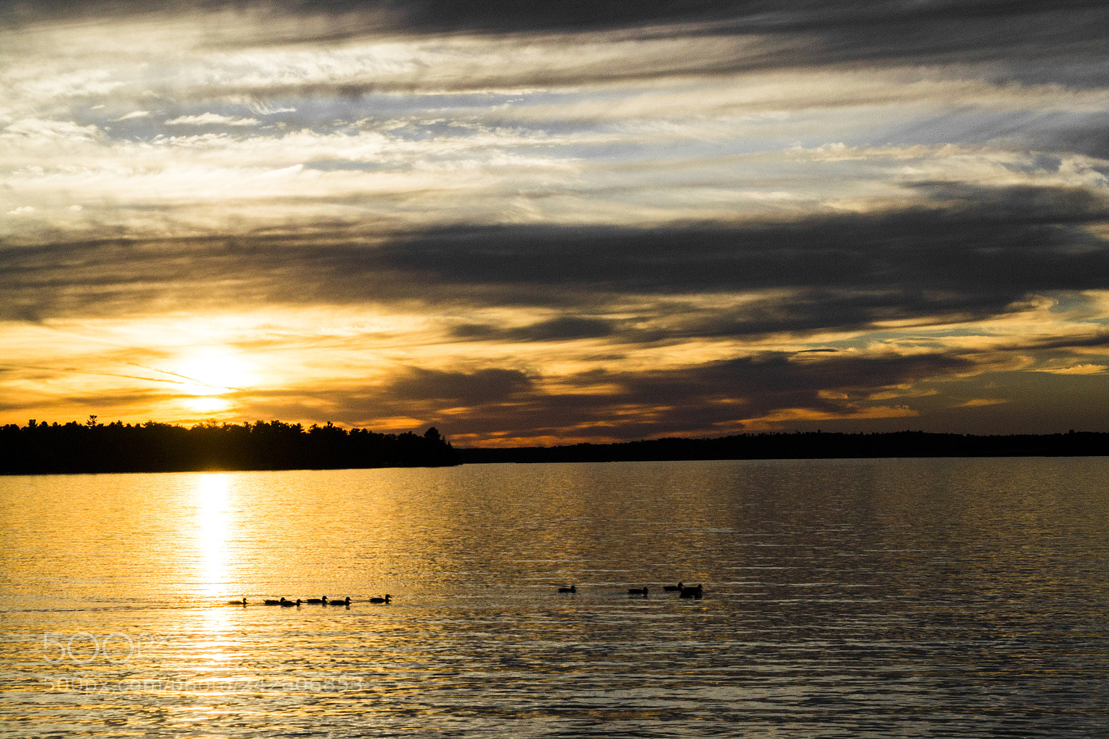 Nikon D3100 sample photo. Mirrors / reflections photography