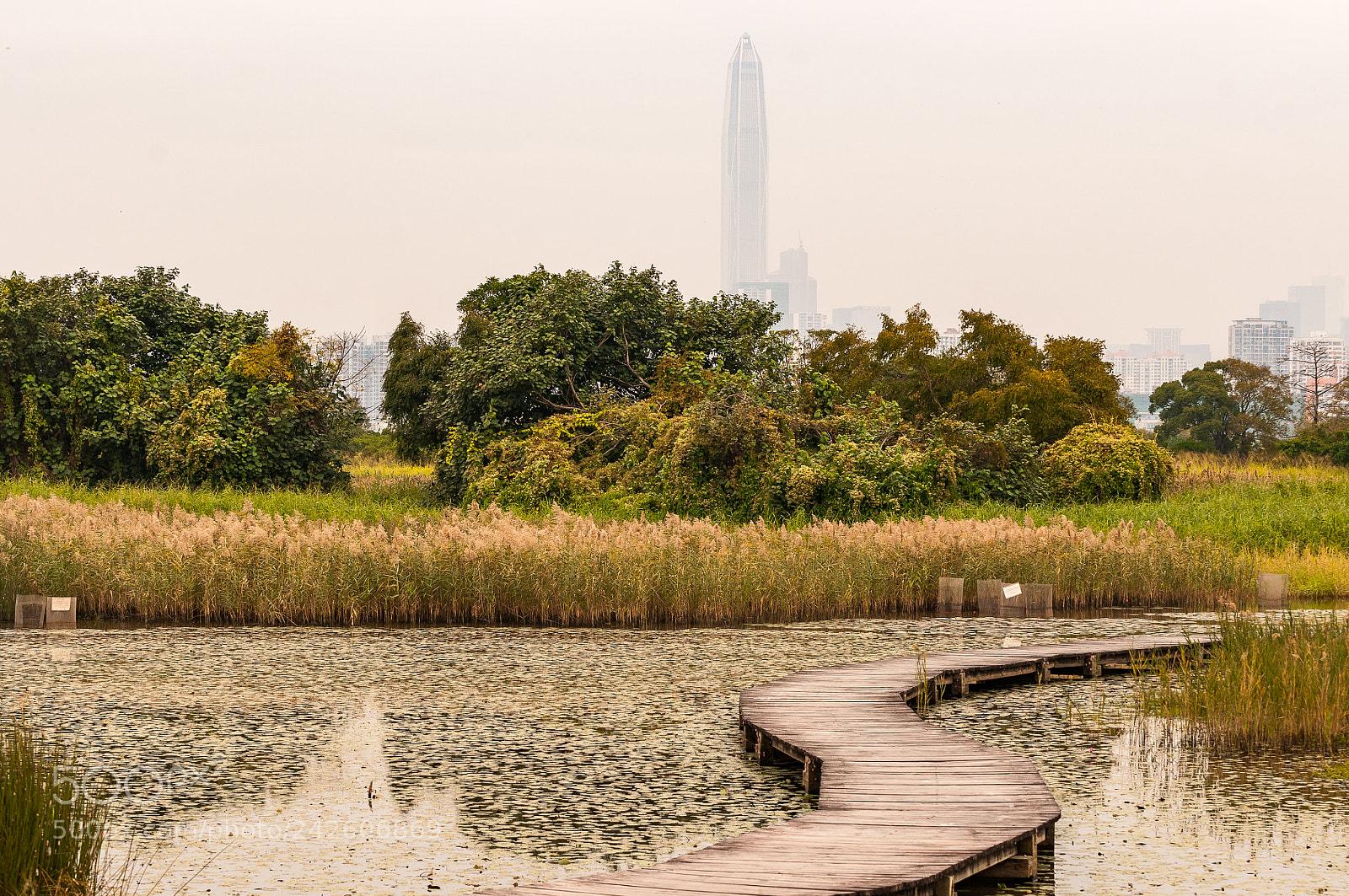 Nikon D300S sample photo. *** photography