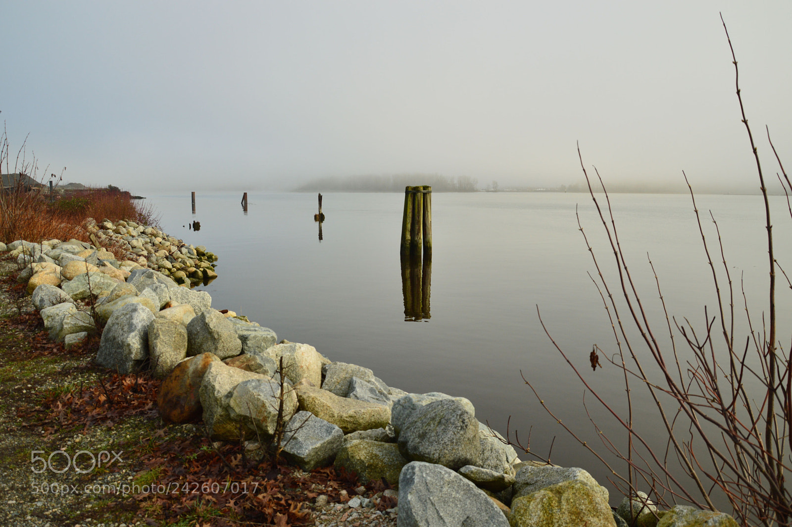 Nikon D3200 sample photo. River vancouver photography