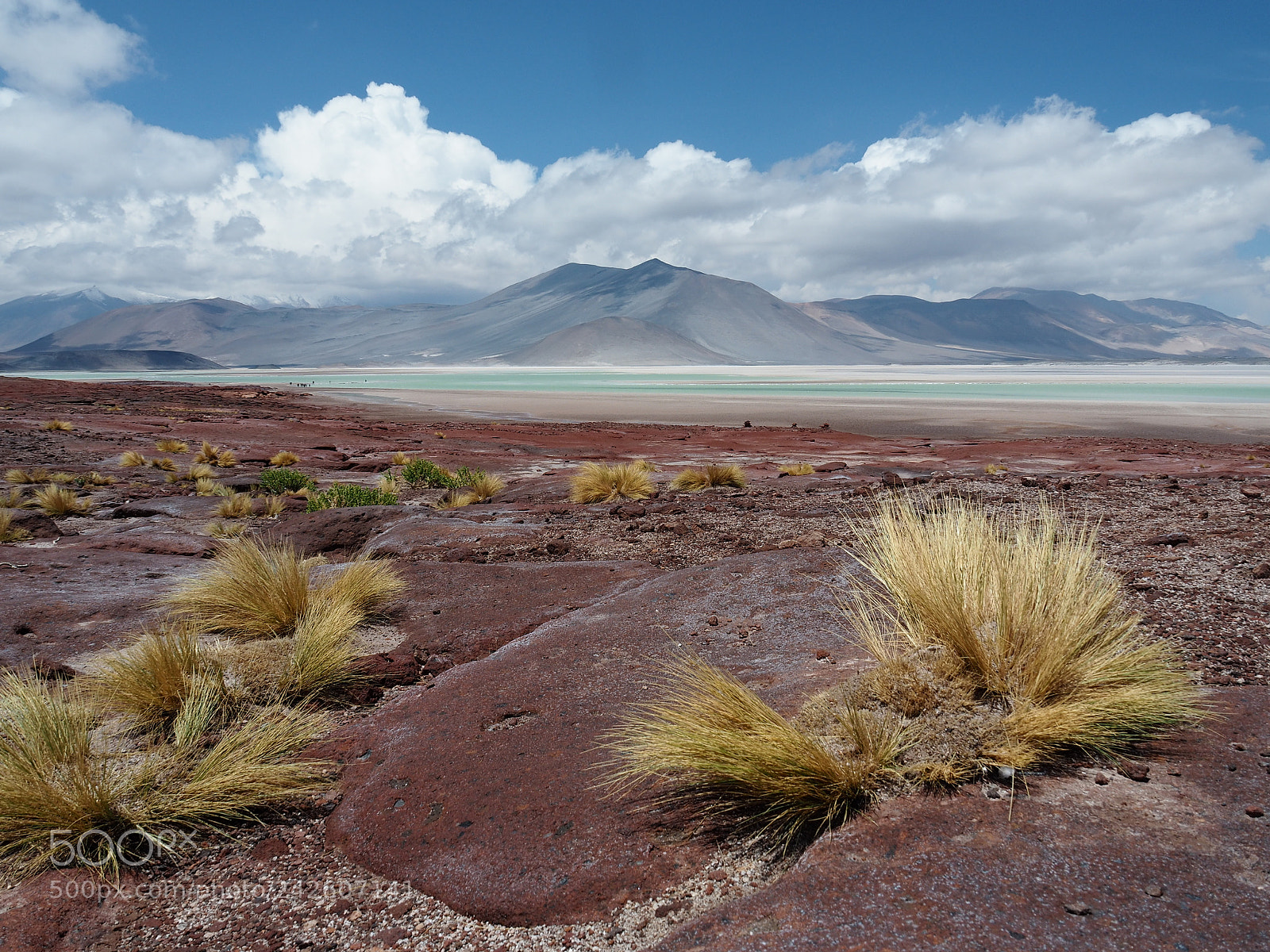 Olympus OM-D E-M5 II sample photo. View on salar de photography