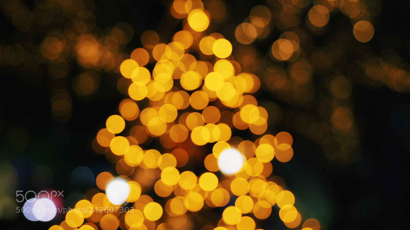Olympus OM-D E-M5 sample photo. Christmas, supernova 2017 photography