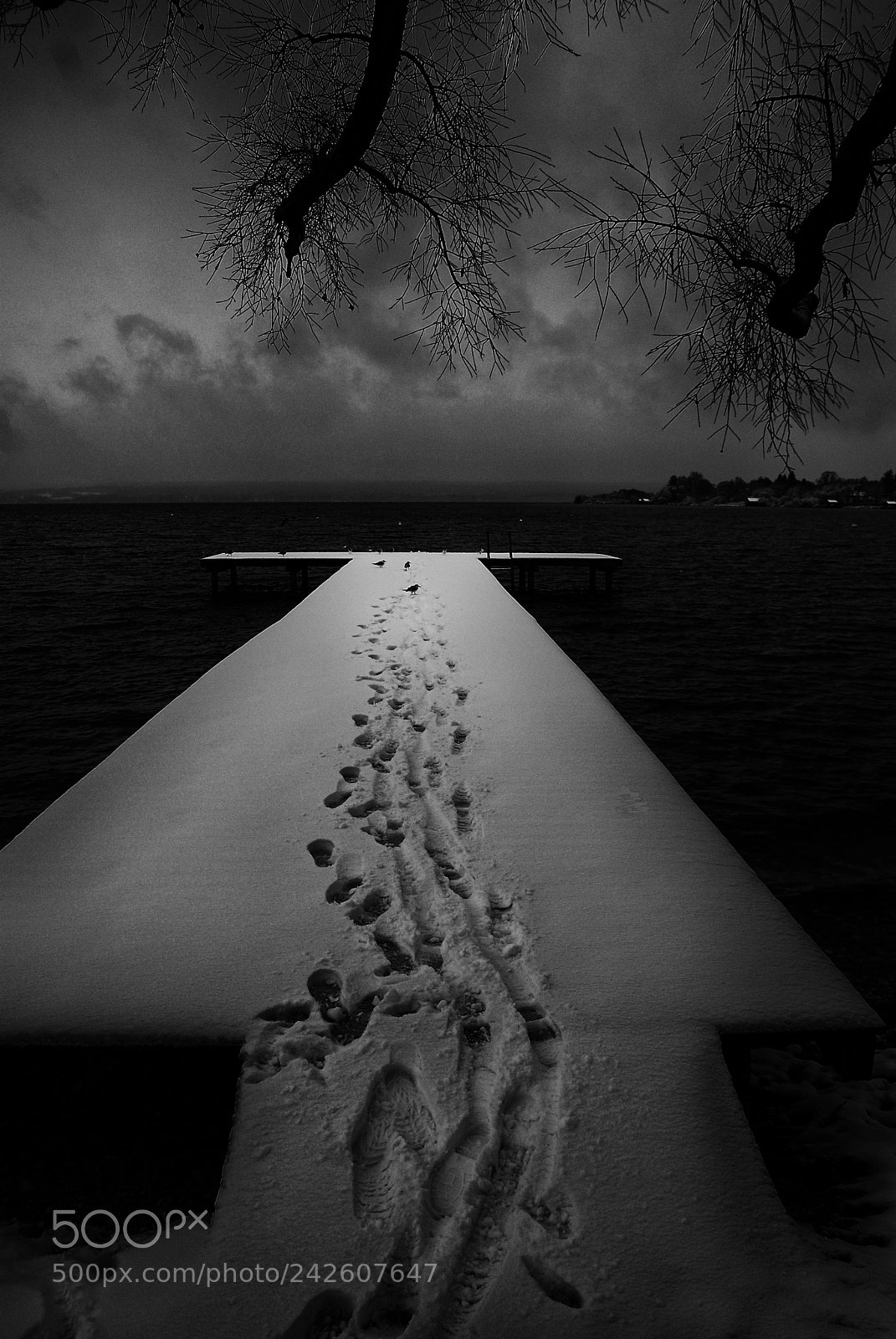 Nikon D200 sample photo. Winter photography